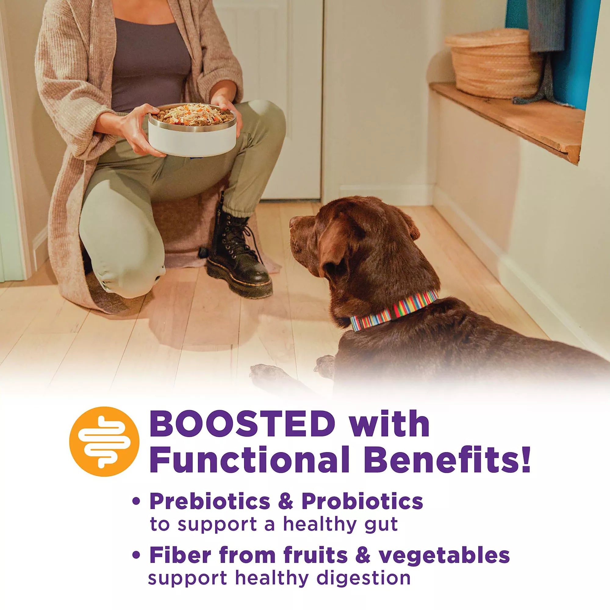 Wellness CORE Bowl Boosters All Life Stage Dog Food Topper - Digestive Health, Chicken