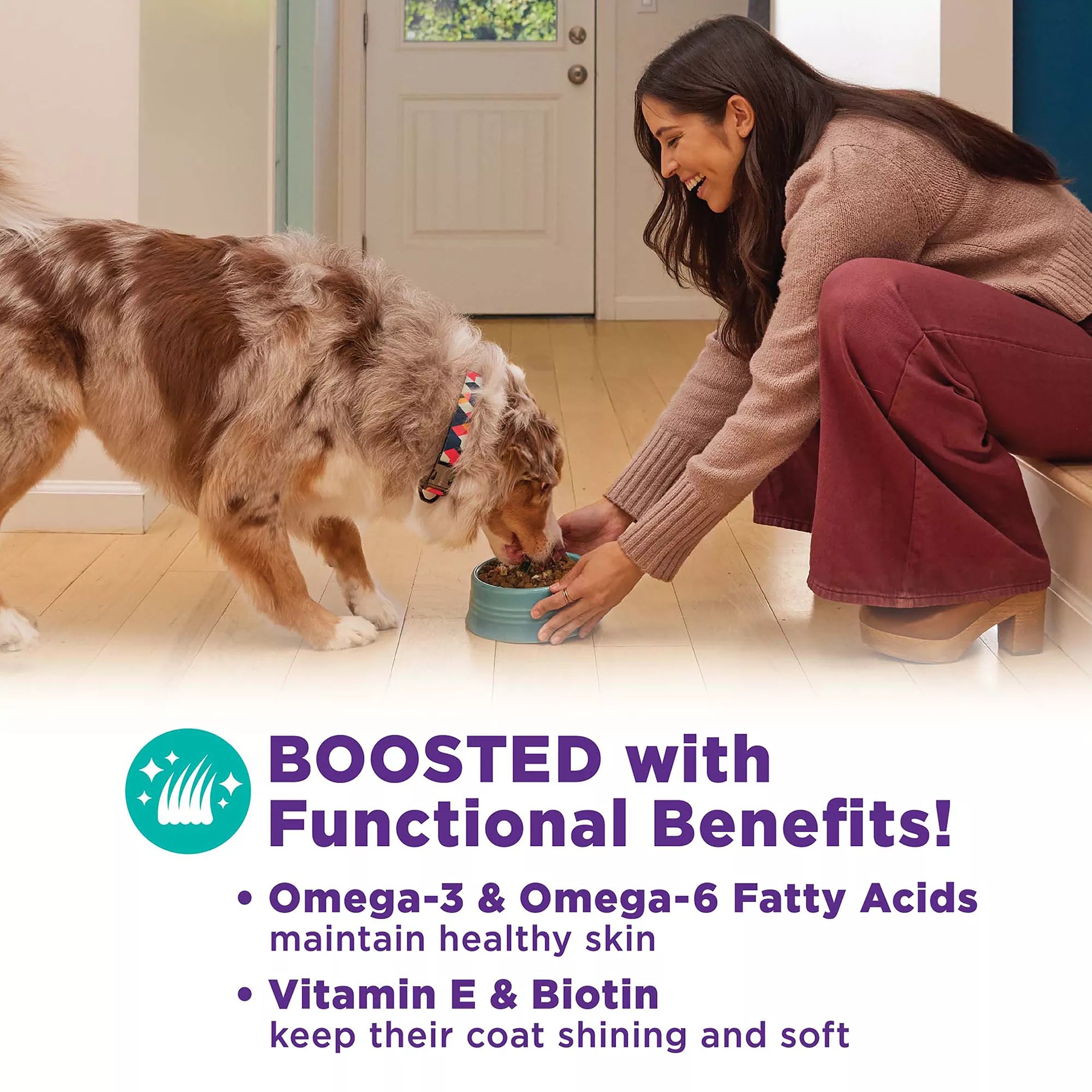 Wellness CORE Bowl Boosters All Life Stage Dog Food Topper - Skin & Coat Health, Chicken