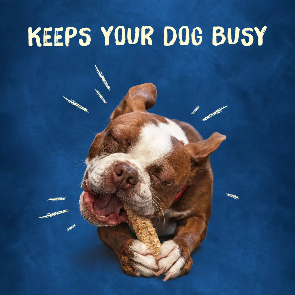 Purina Busy Chewnola Small/Medium Dog Treat - Beef
