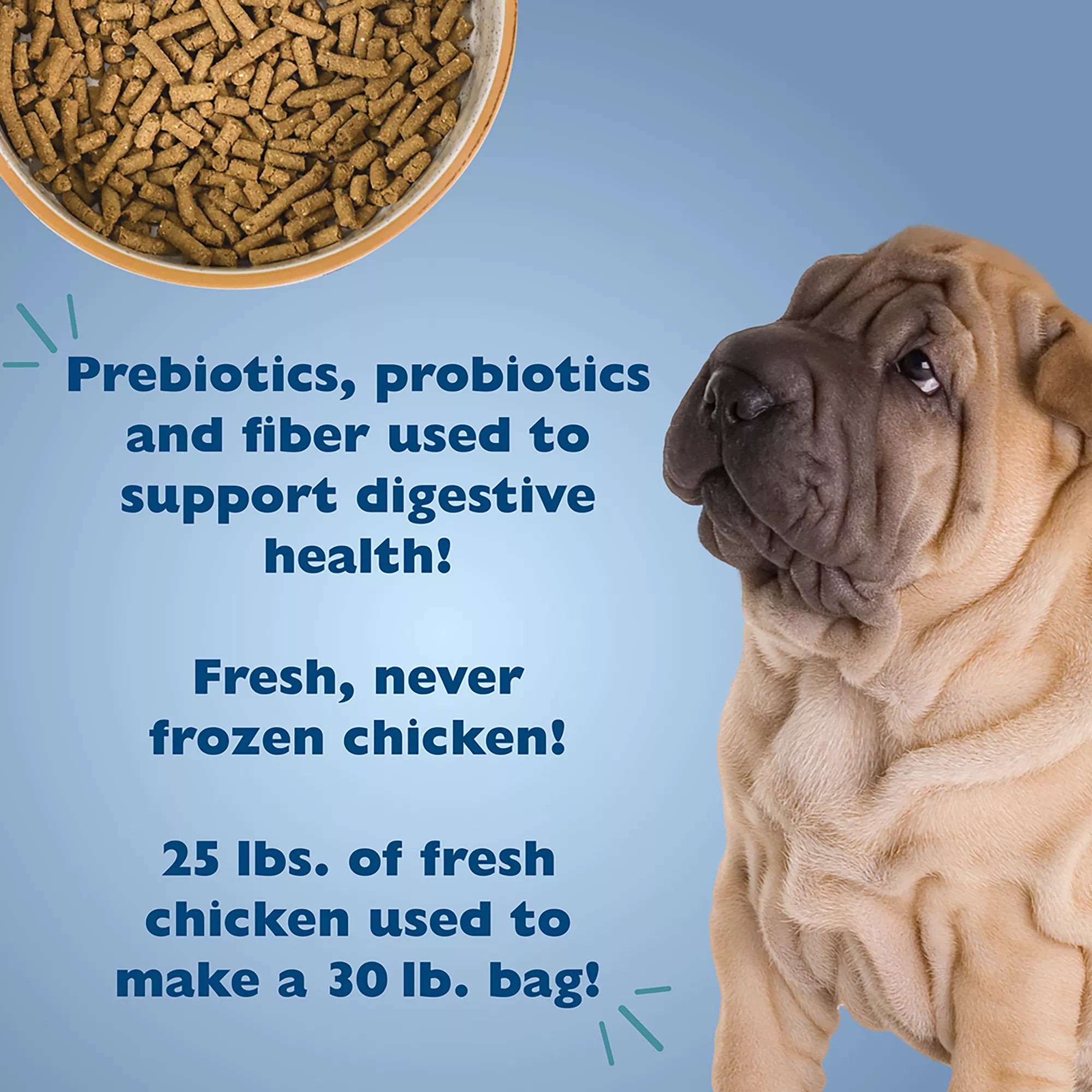 Bil-Jac Sensitive Solutions All Life Stage Dry Dog Food - Digestive & Immune Support