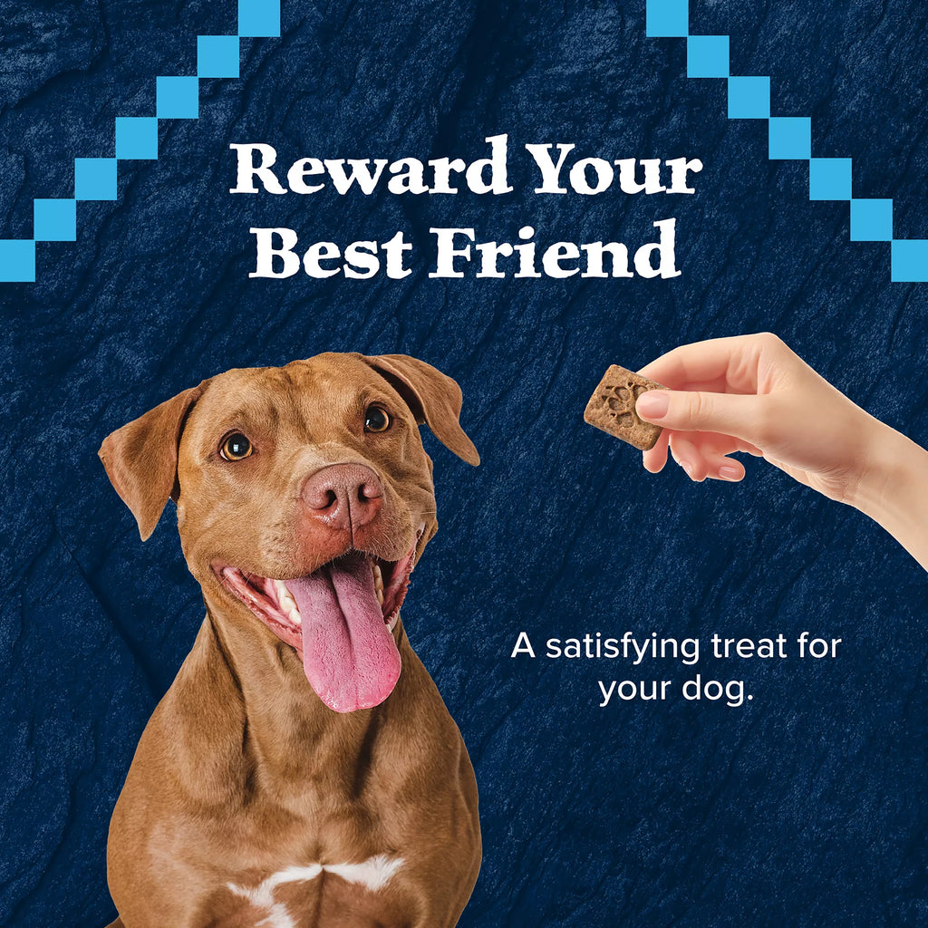 Blue Buffalo Wilderness Trail Treats All Life Stages Dog Treats - High-Protein Pet Food, Salmon