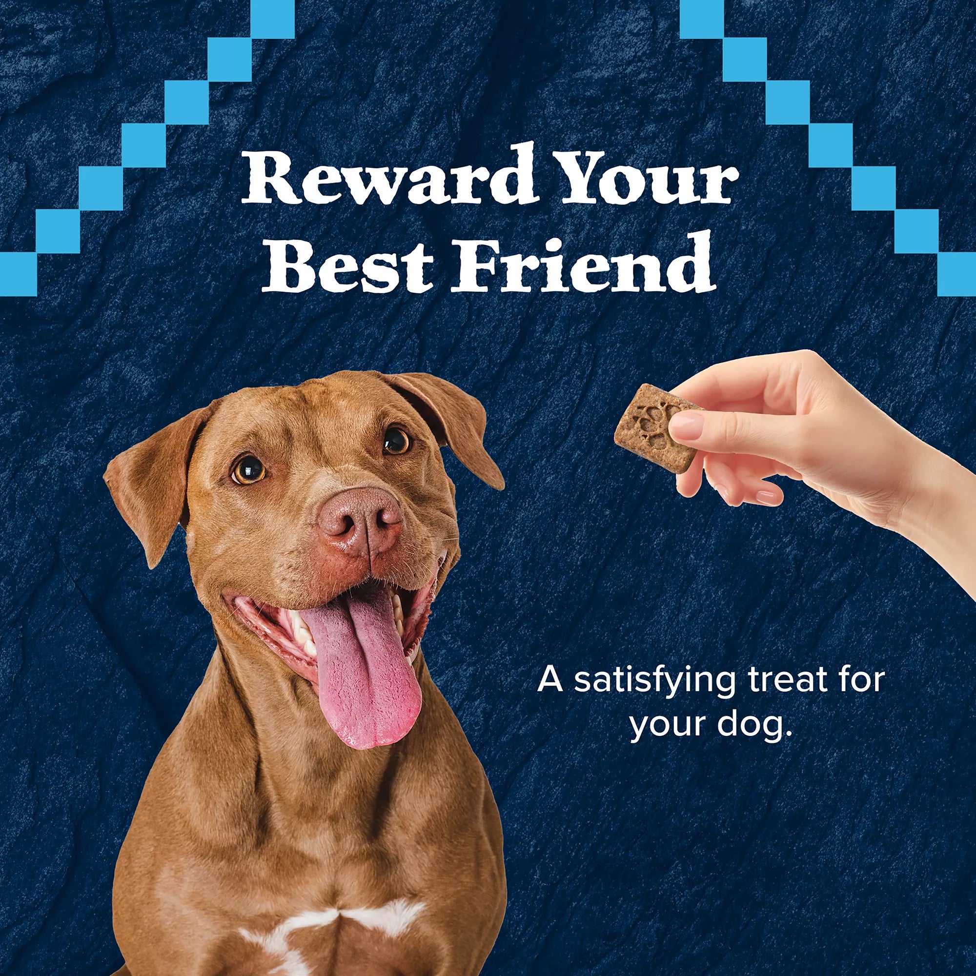 Blue Buffalo Wilderness Trail Treats All Life Stages Dog Treats - High-Protein Pet Food, Salmon