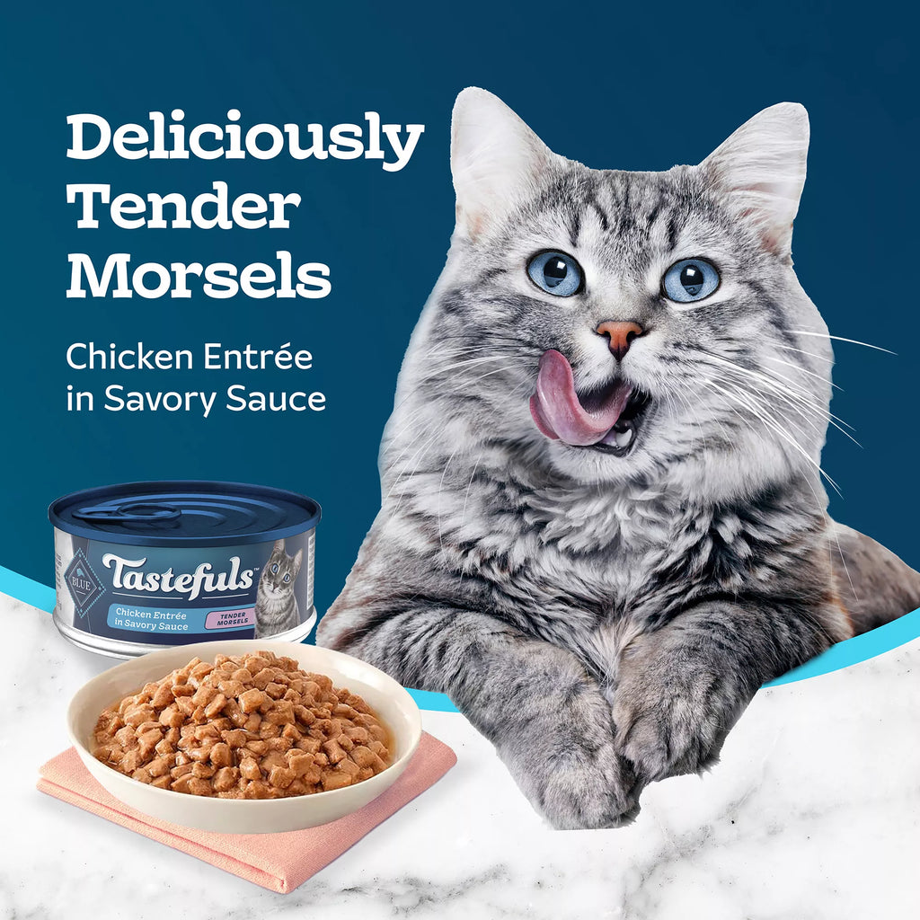 Blue Buffalo Tastefuls Wet Cat Food - Adult Tender Morsels - Natural Pet Food, Chicken