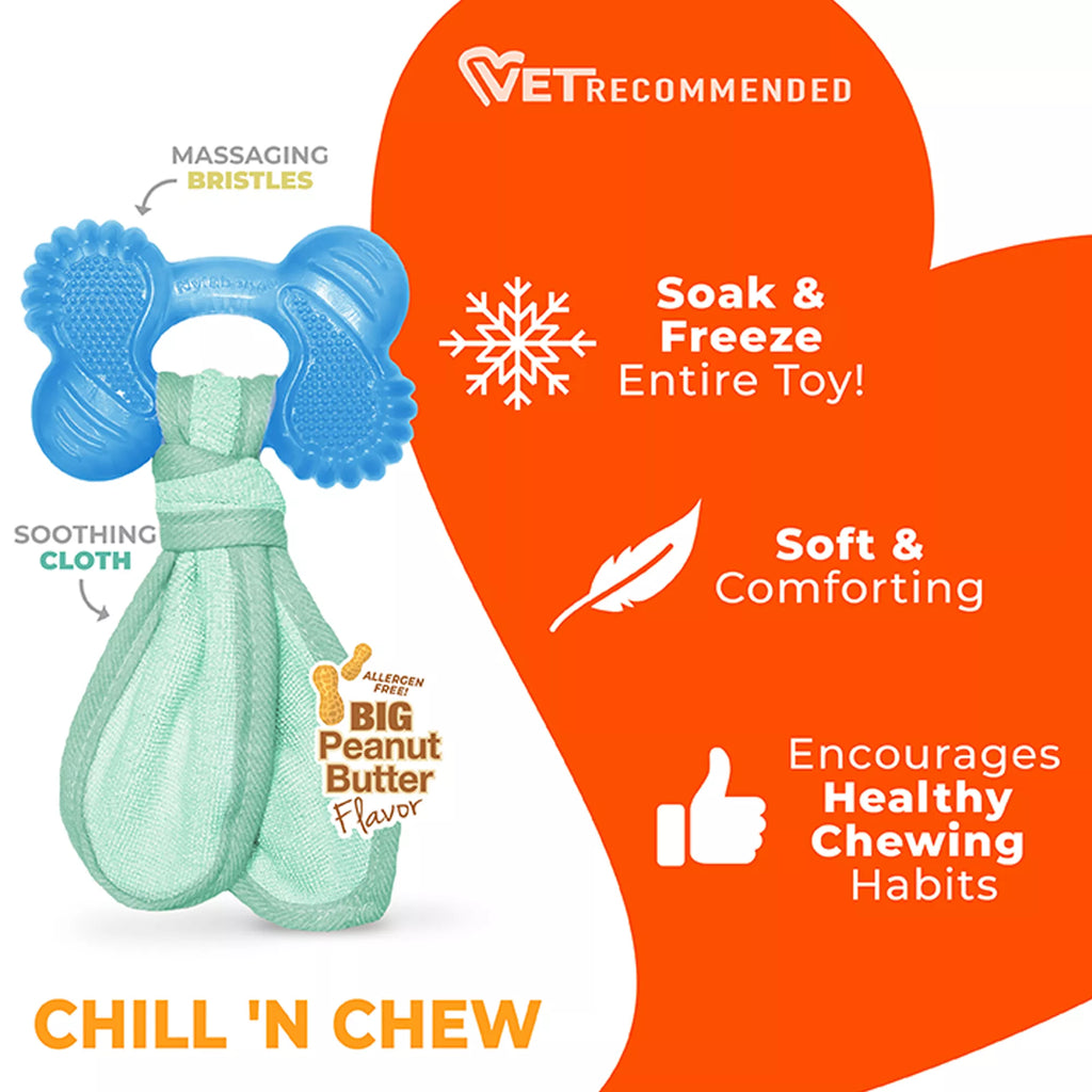 Nylabone Teething Puppy Chew Freezer Bone Dog Toy - Peanut Butter Flavor