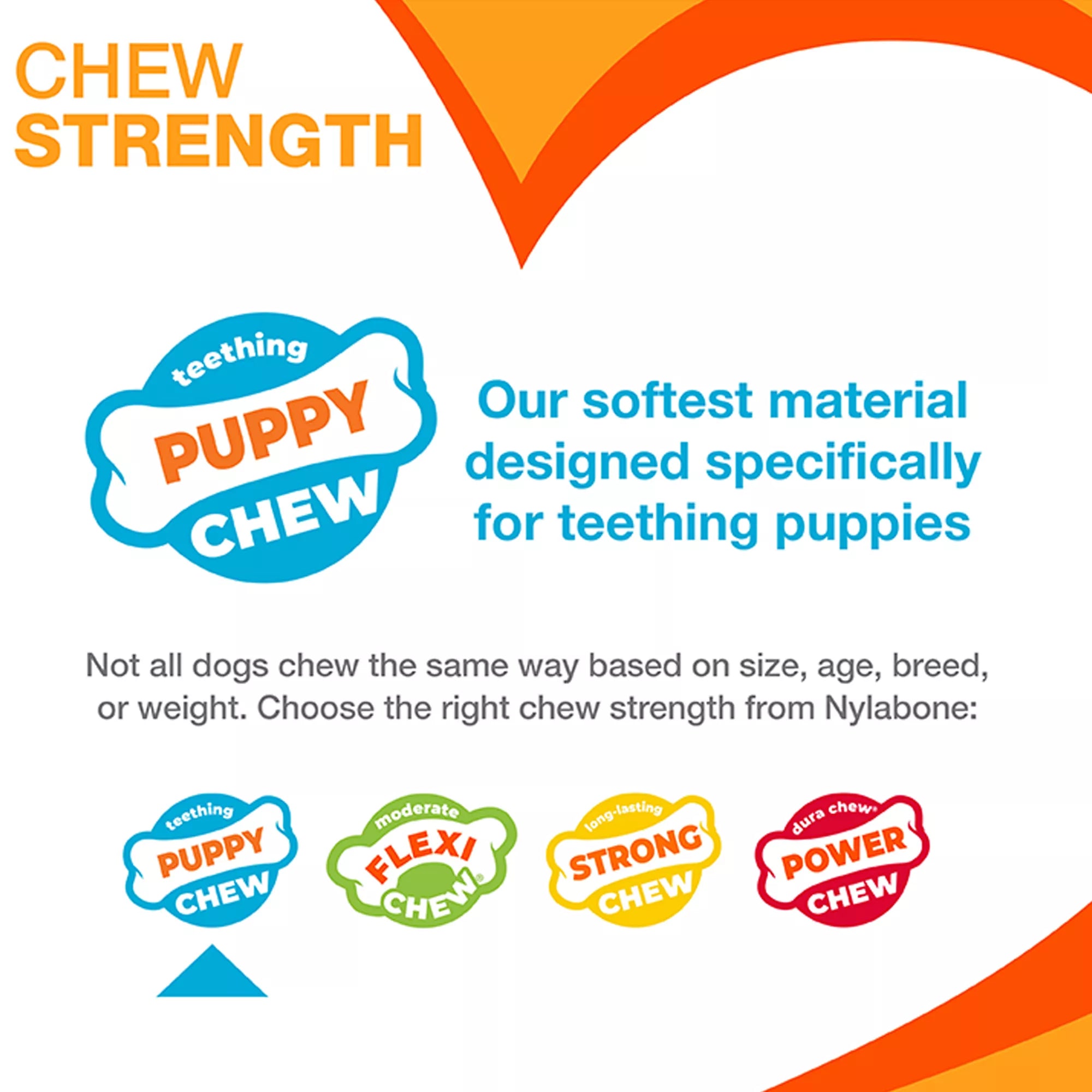 Nylabone Teething Puppy Chew Freezer Bone Dog Toy - Peanut Butter Flavor