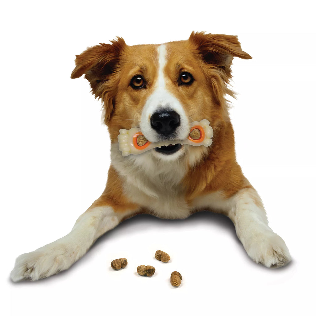 Nylabone Pop-In Treat Refills - Chicken Flavor