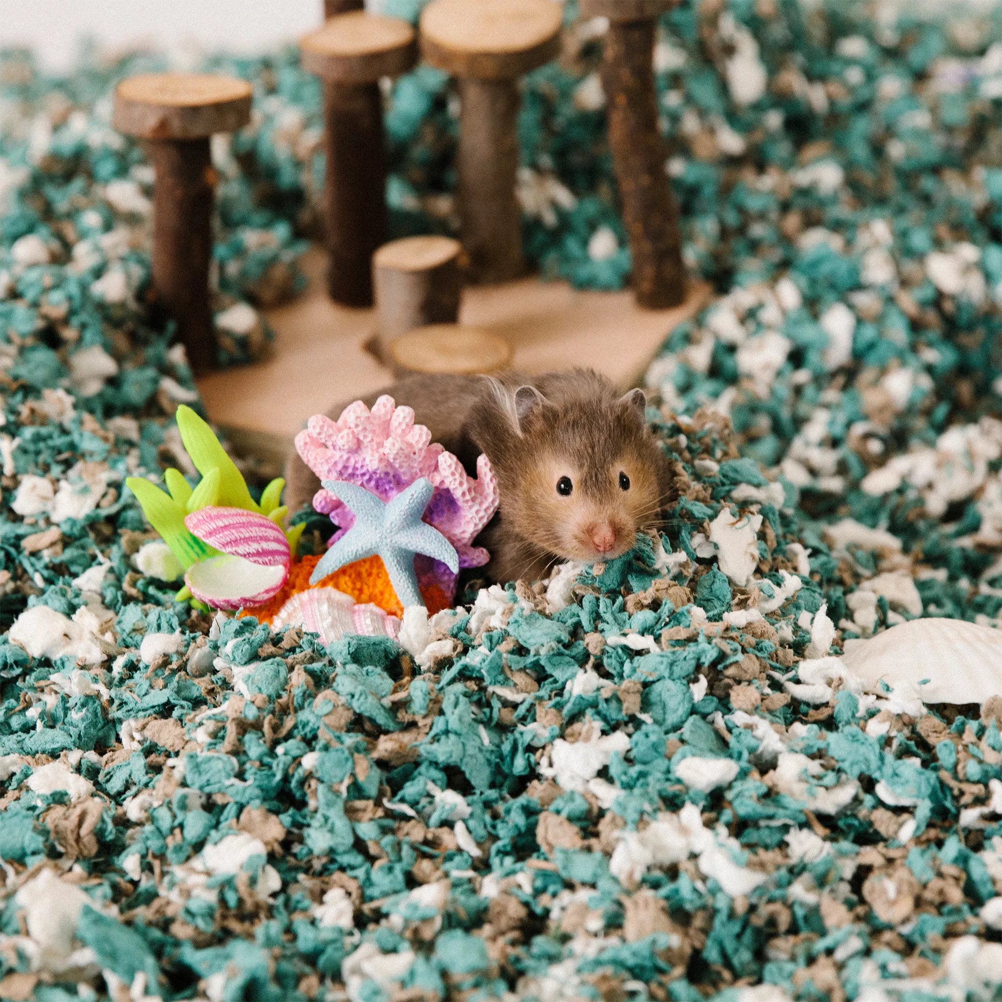 carefresh Special Edition Small Pet Bedding - Seaside