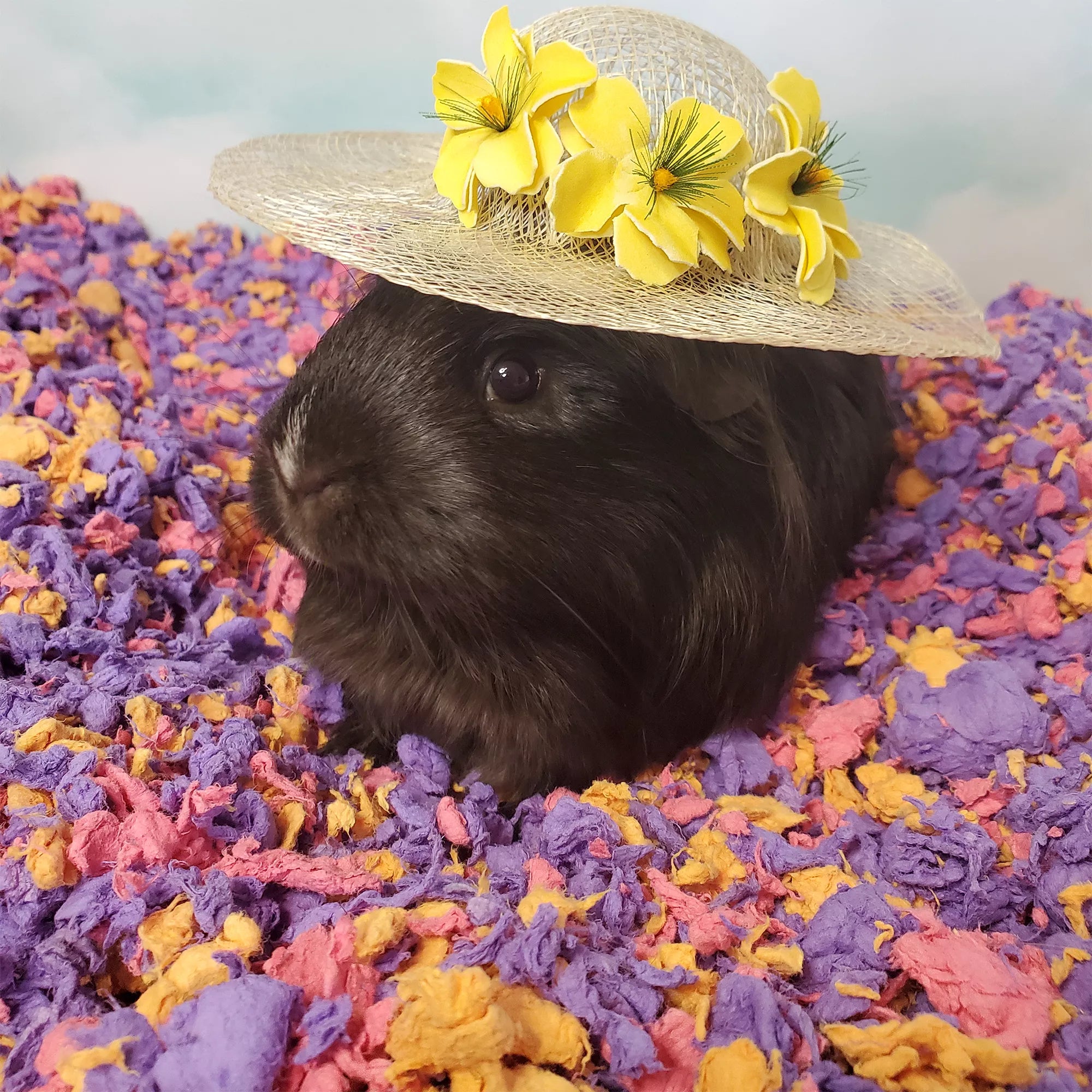 carefresh Special Edition Small Pet Bedding - Beach Party