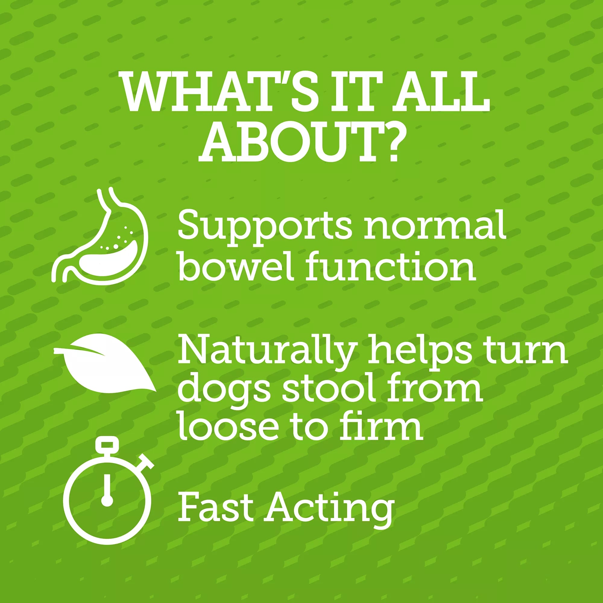 Vetality "Stop The Runs" 5g Chewables for Dogs - Probiotic & Degestive Supplement - 6 Count
