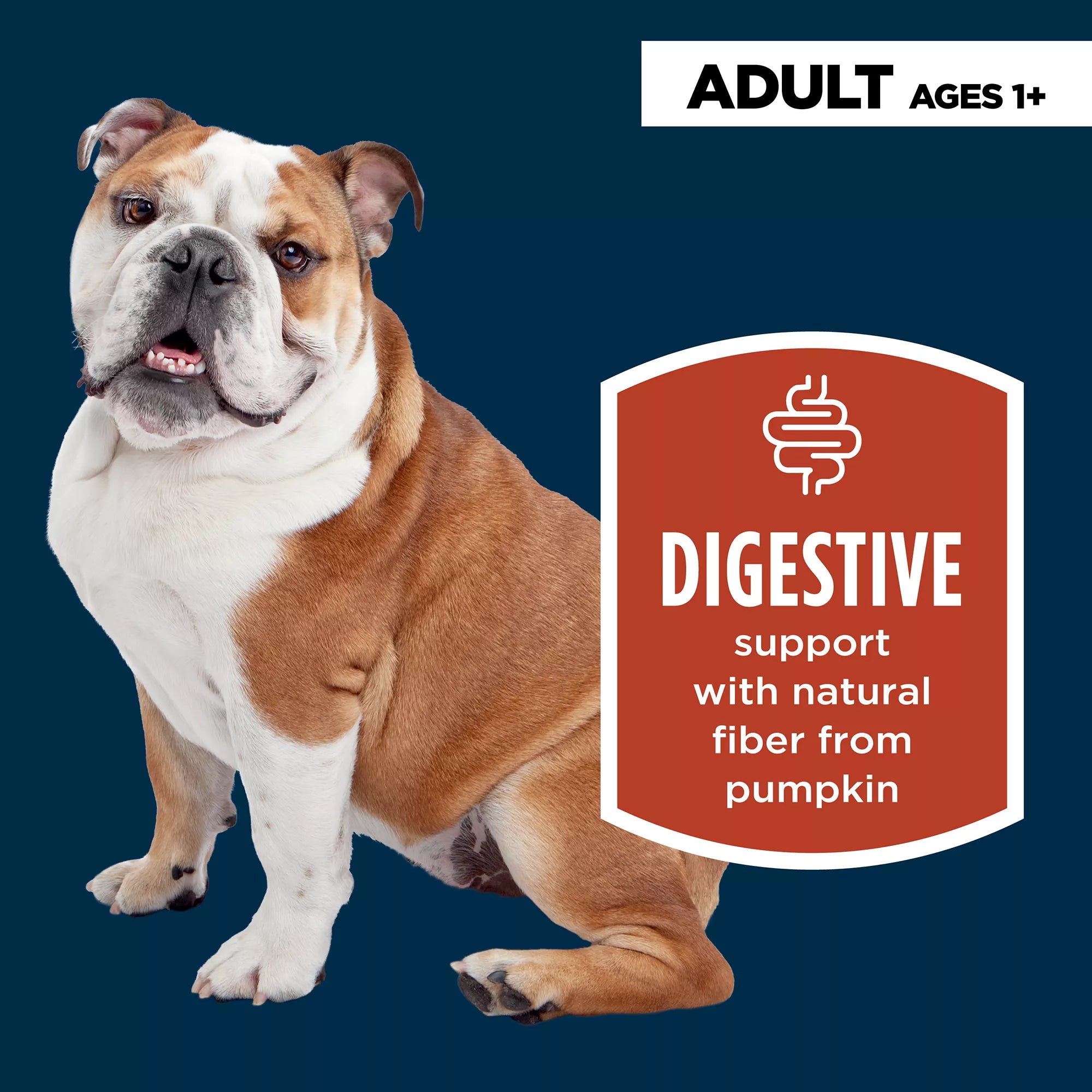 Authority Digestive Support All Life Stages Wet Dog Food Supplement Topper - Pumpkin, 15 oz