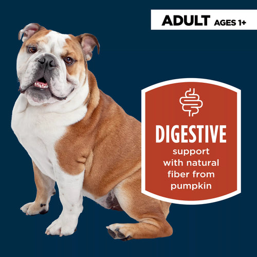 Authority Digestive Support All Life Stages Wet Dog Food Supplement Topper - Pumpkin, 15 oz