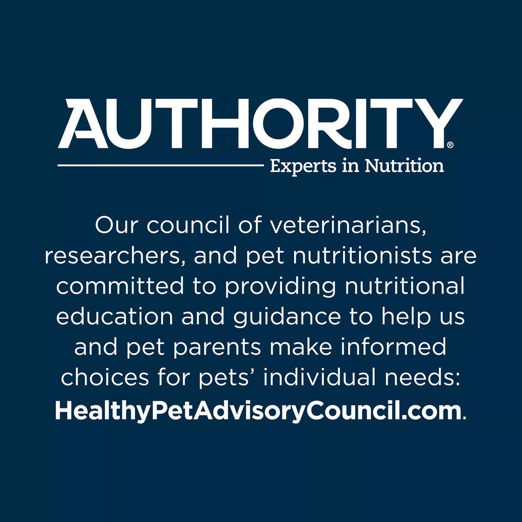 Authority Digestive Support All Life Stages Wet Dog Food Supplement Topper - Pumpkin, 15 oz