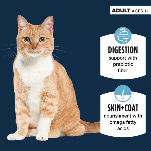 Authority Sensitive Stomach + Skin - Chicken & Turkey 3oz