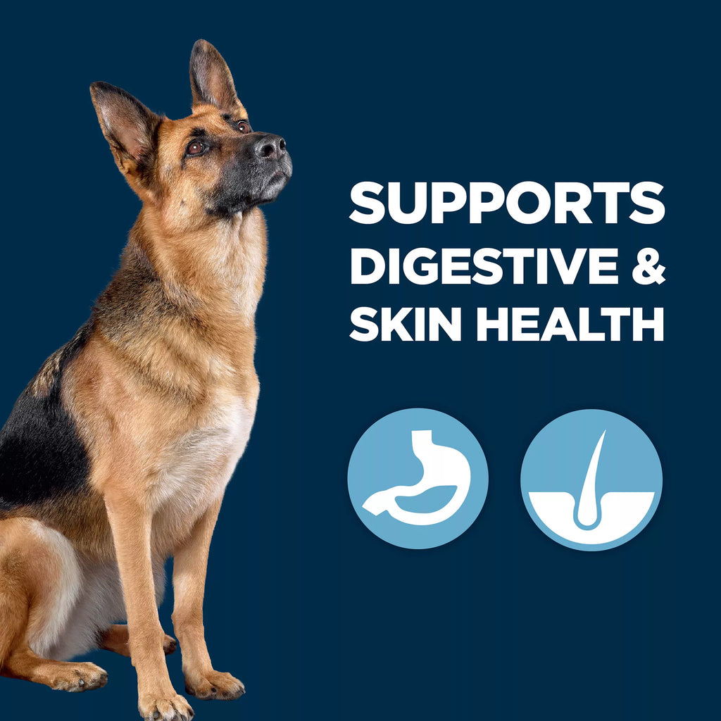 Authority Sensitive Skin & Stomach Food Lamb in Broth Adult Wet Dog Food - 10 oz