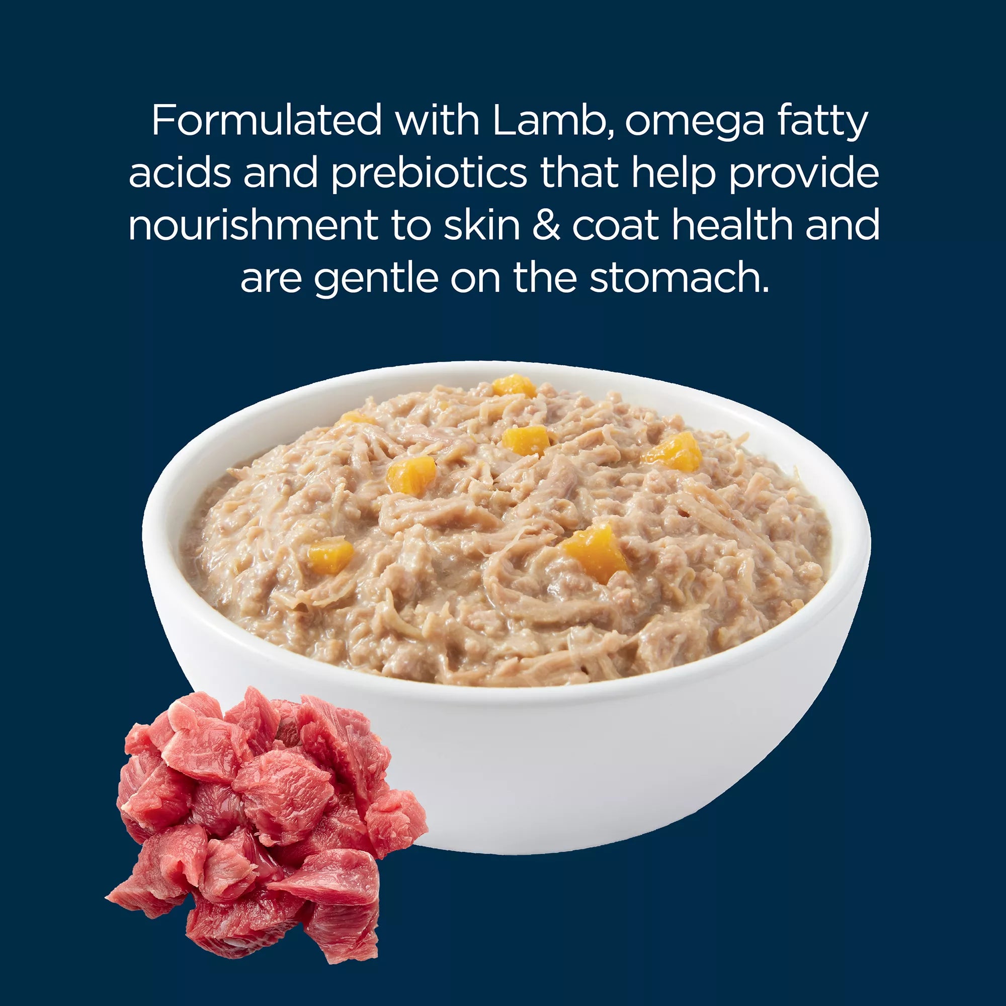 Authority Sensitive Skin & Stomach Food Lamb in Broth Adult Wet Dog Food - 10 oz