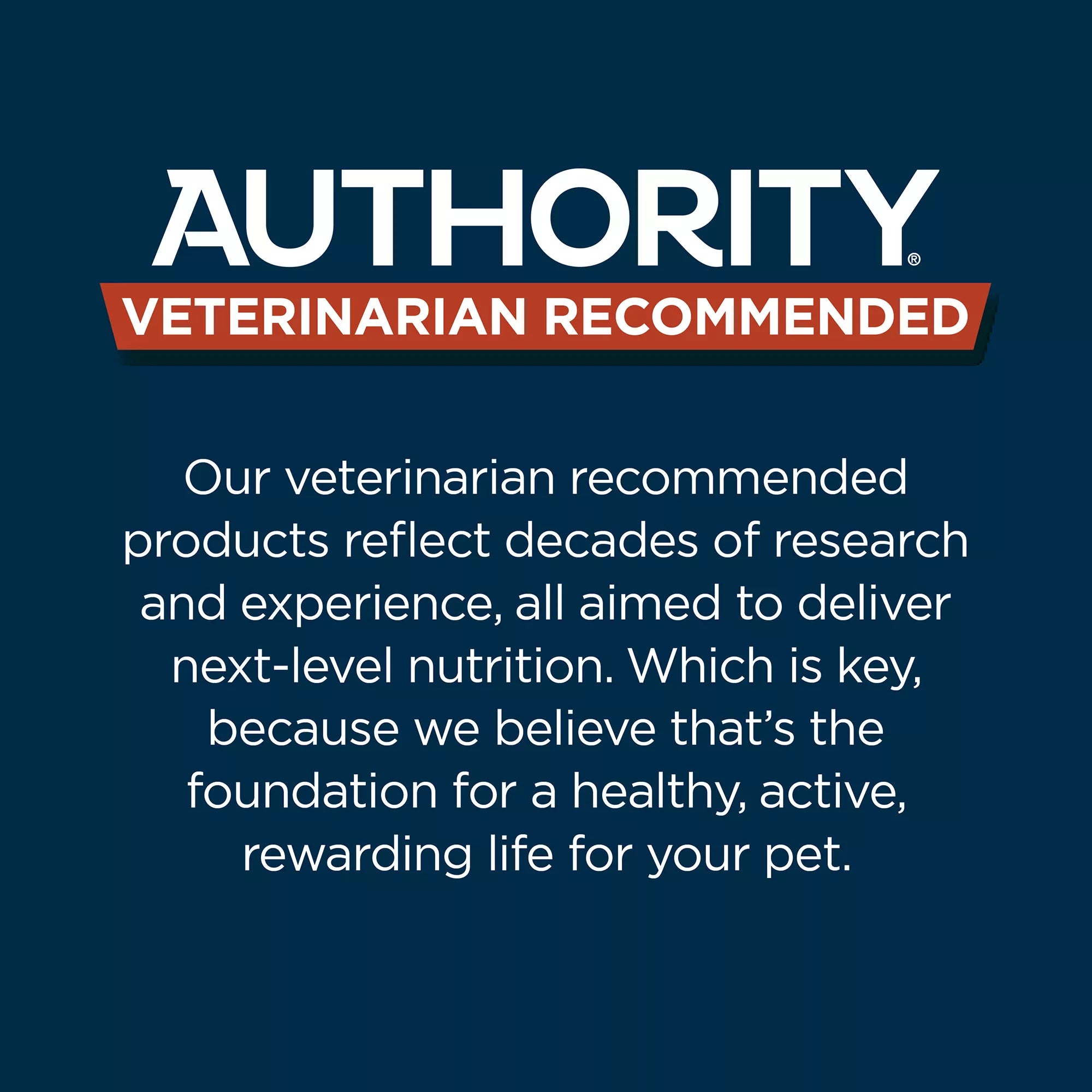 Authority Sensitive Skin & Stomach Food Lamb in Broth Adult Wet Dog Food - 10 oz