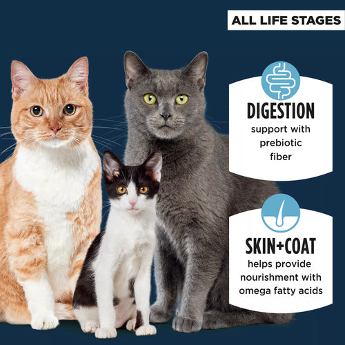 Authority Sensitive Skin & Stomach Food Cat Dry Food - Turkey & Rice, With-Grain