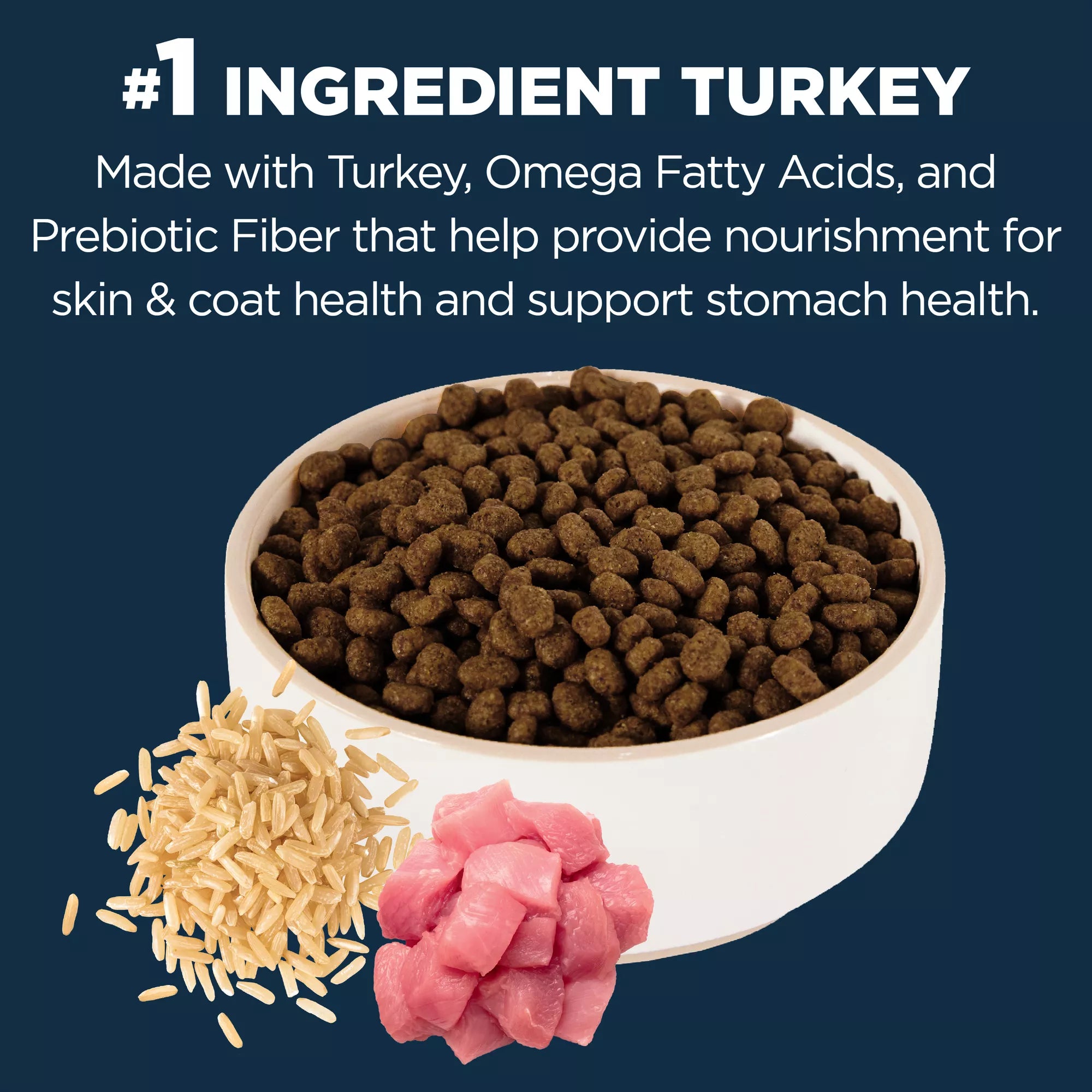 Authority Sensitive Skin & Stomach Food Cat Dry Food - Turkey & Rice, With-Grain