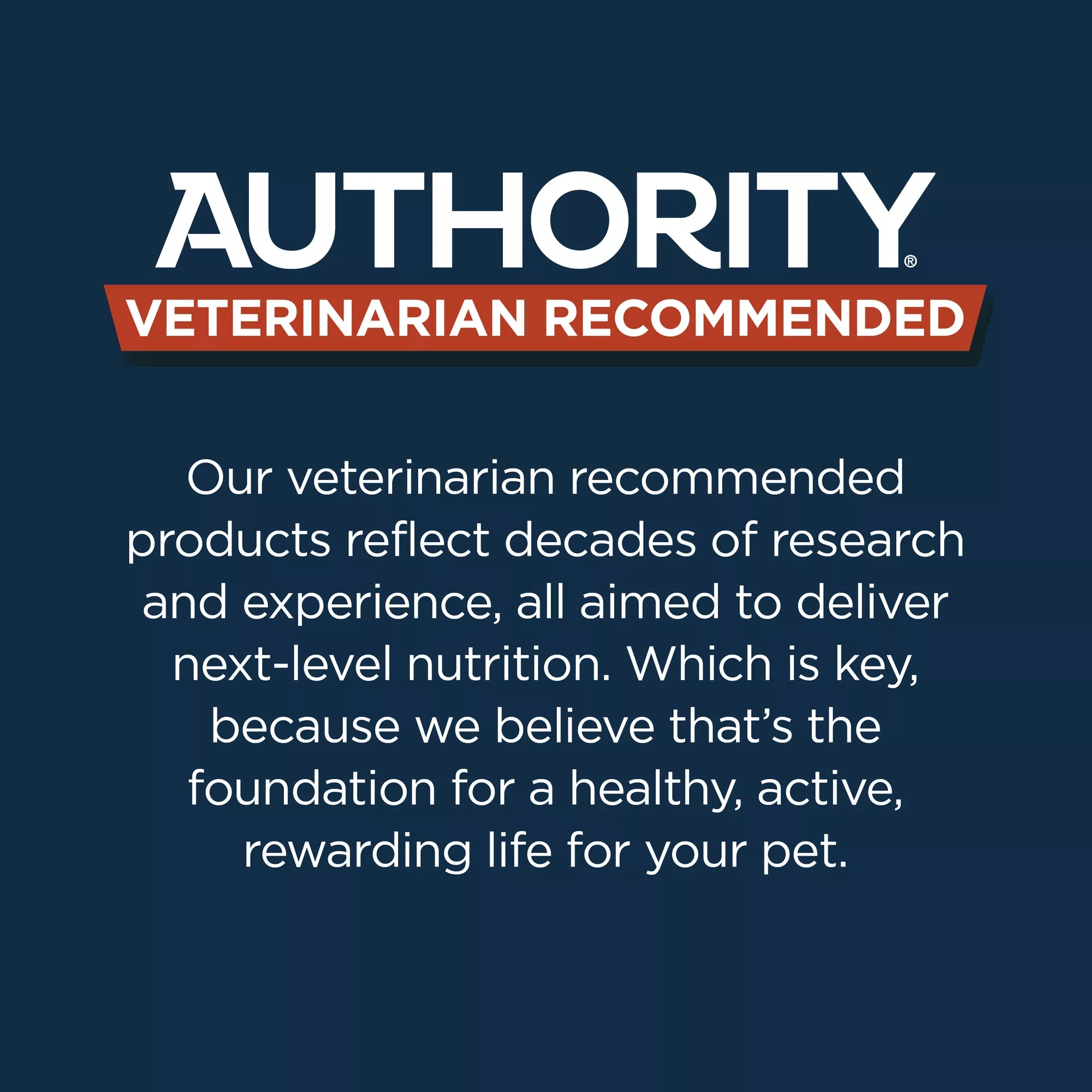 Authority Sensitive Skin & Stomach Food Cat Dry Food - Turkey & Rice, With-Grain