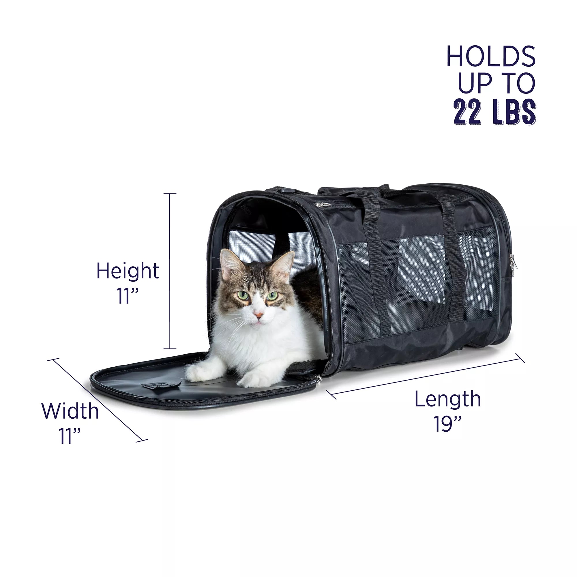 Whisker City Black Mesh Soft Sided Cat & Dog Carrier, 19-in