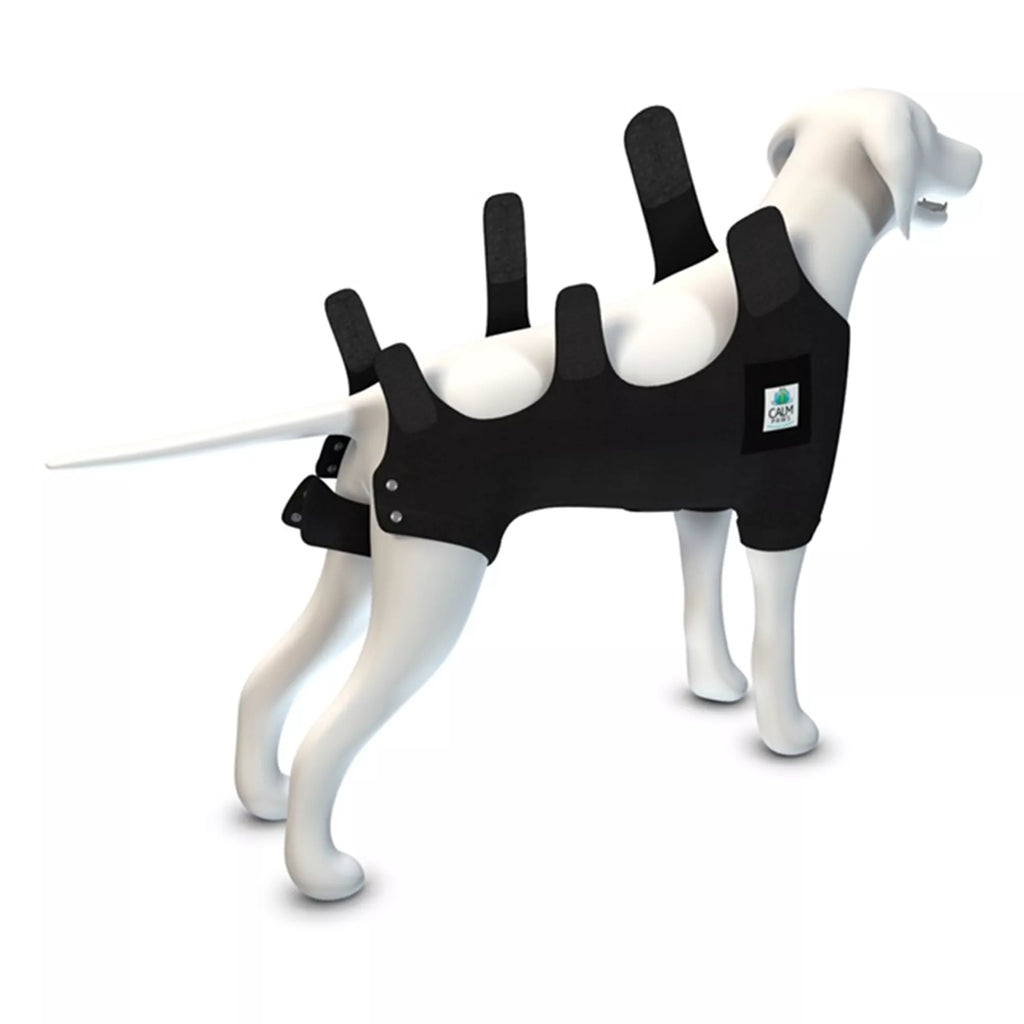 Calm Paws Premium Recovery Vest and Calming Disk for Dogs