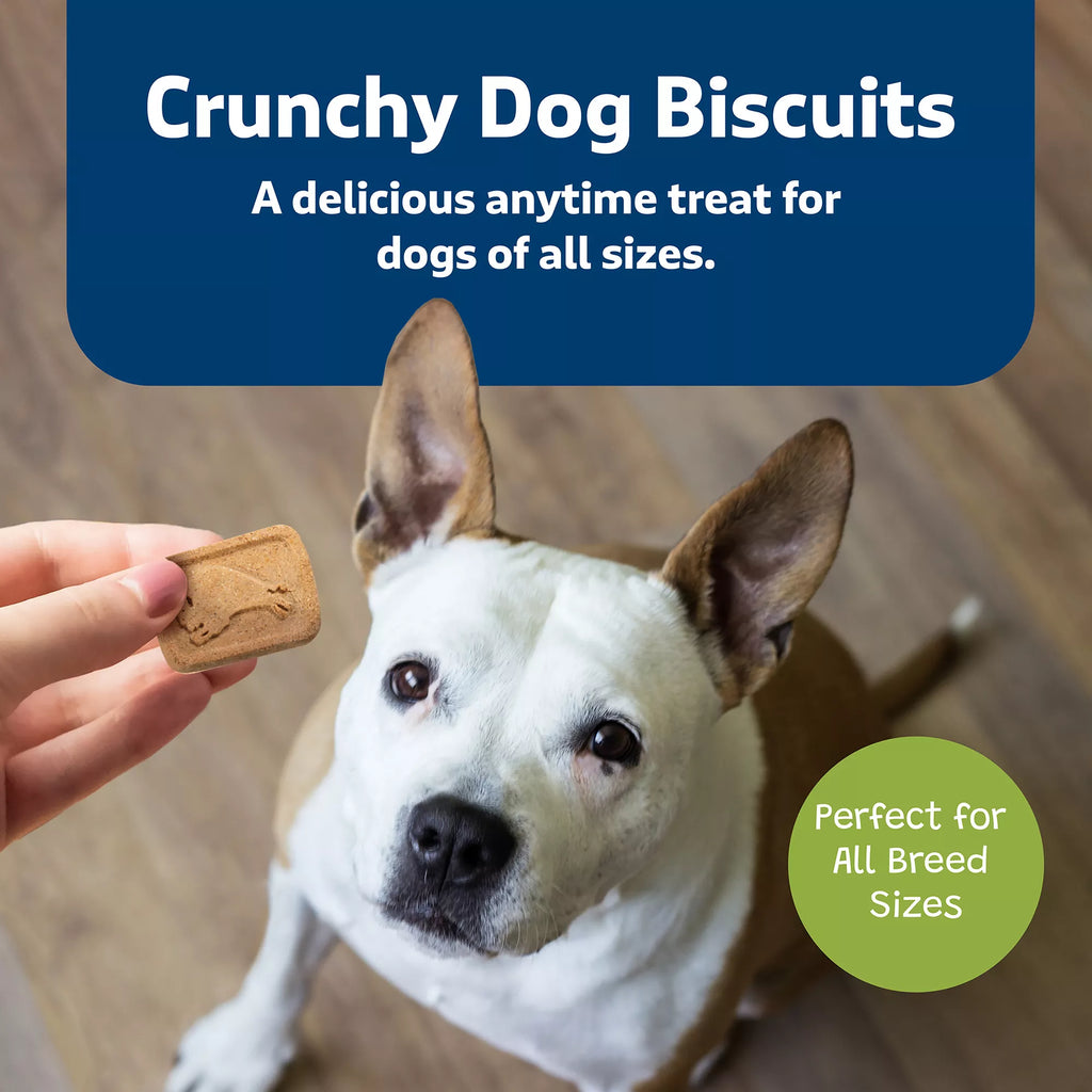 Blue Buffalo Health Bars Crunchy All Life Stages Dog Treats - 3.5 lb