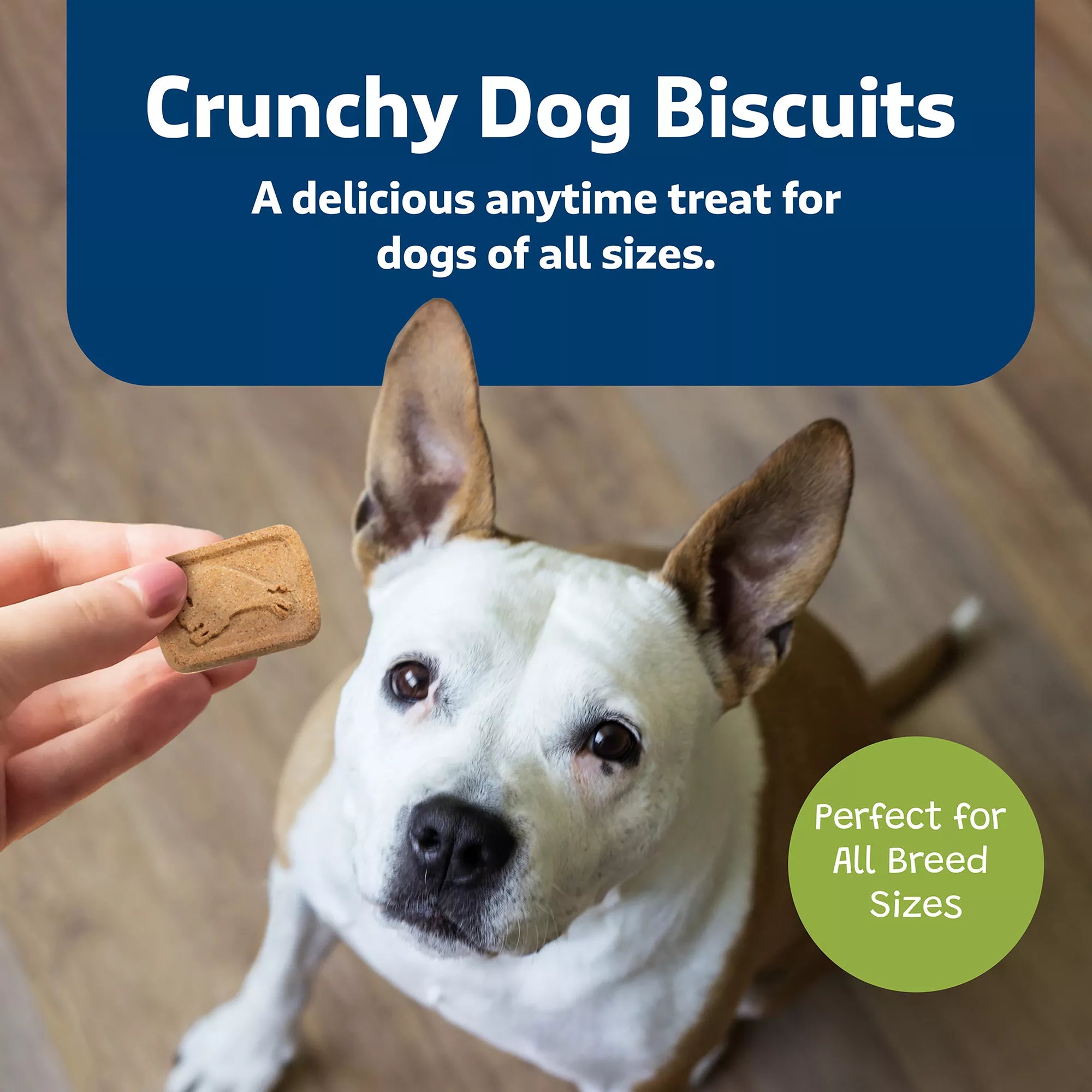 Blue Buffalo Health Bars Crunchy All Life Stages Dog Treats - 3.5 lb
