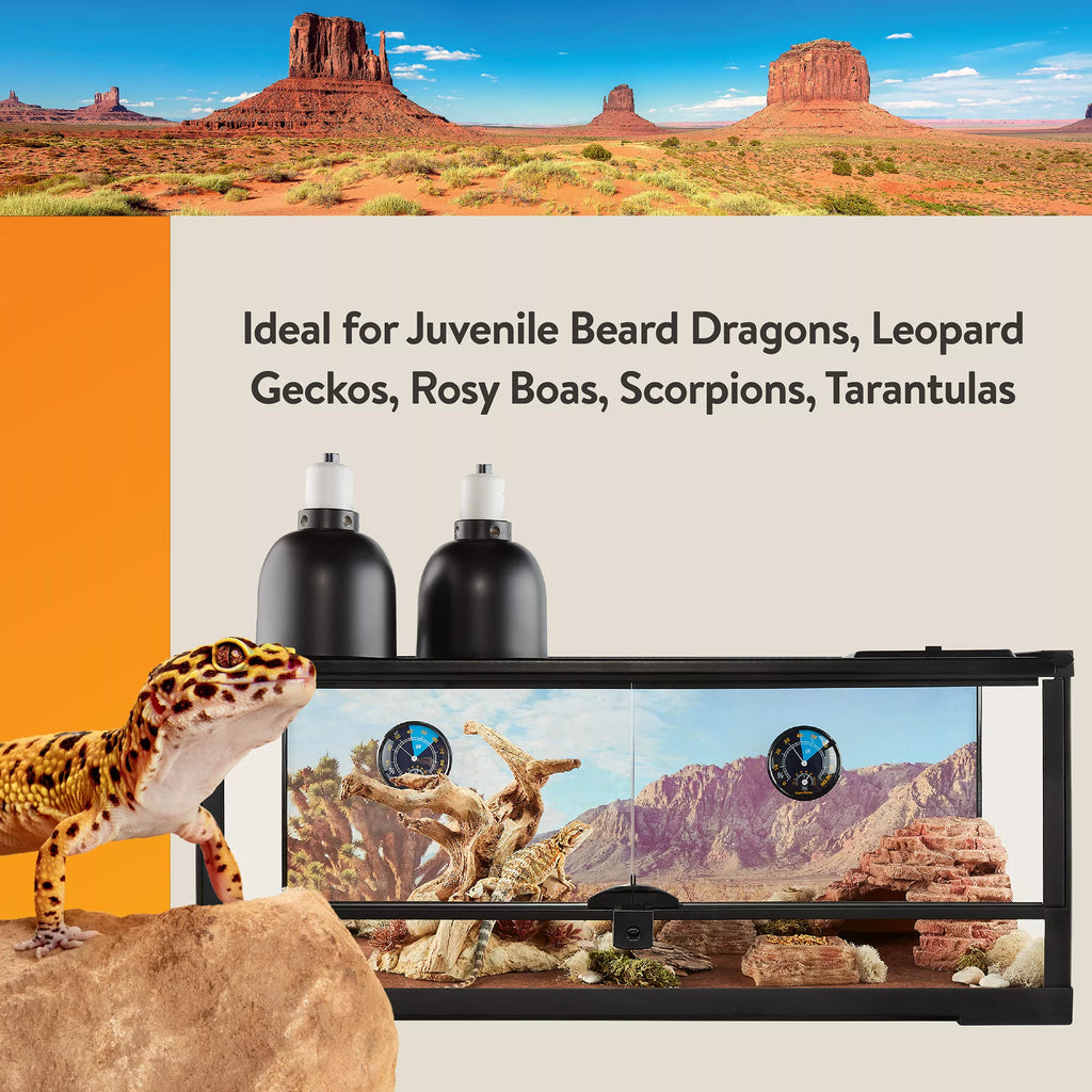 Thrive Open Front Desert Reptile Terrarium Essentials Kit - 20G