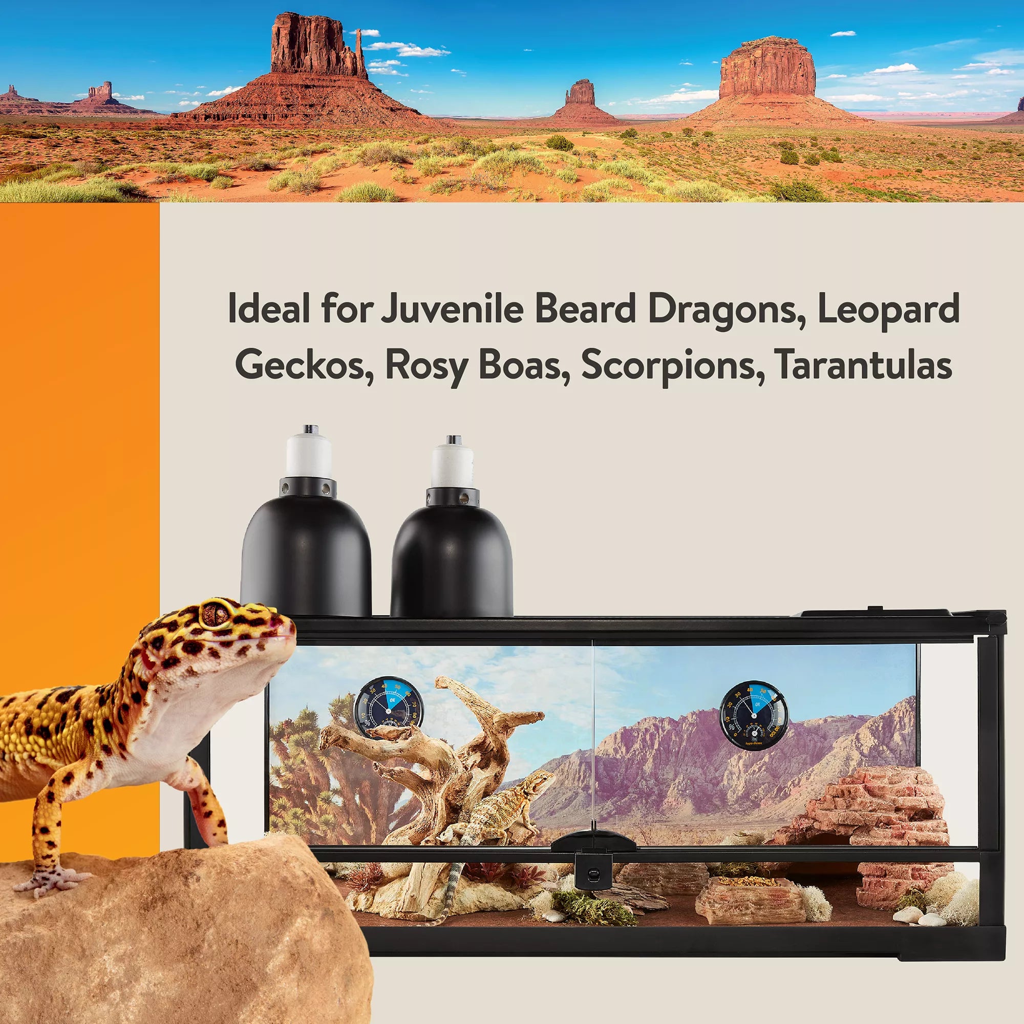 Thrive Open Front Desert Reptile Terrarium Essentials Kit - 20G