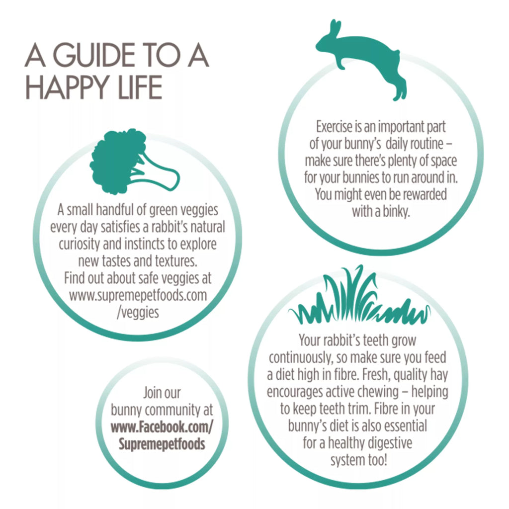 Science Selective Adult Rabbit Food