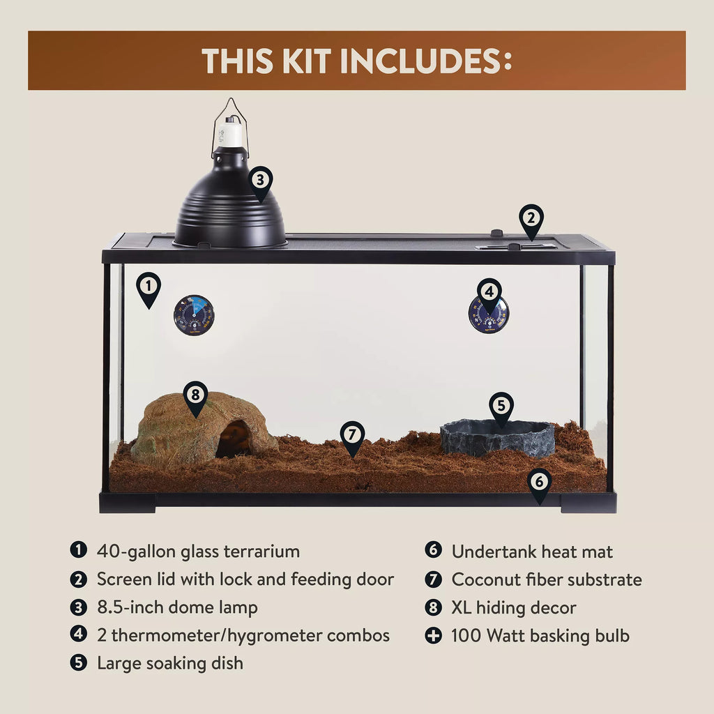 Thrive Temperate Reptile Terrarium Essentials Kit - 40 Gallon