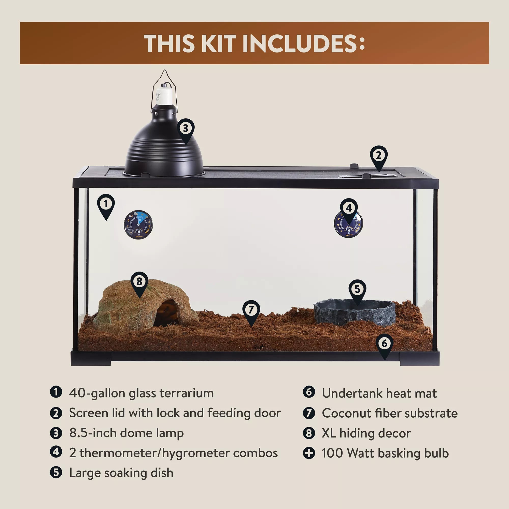 Thrive Temperate Reptile Terrarium Essentials Kit - 40 Gallon
