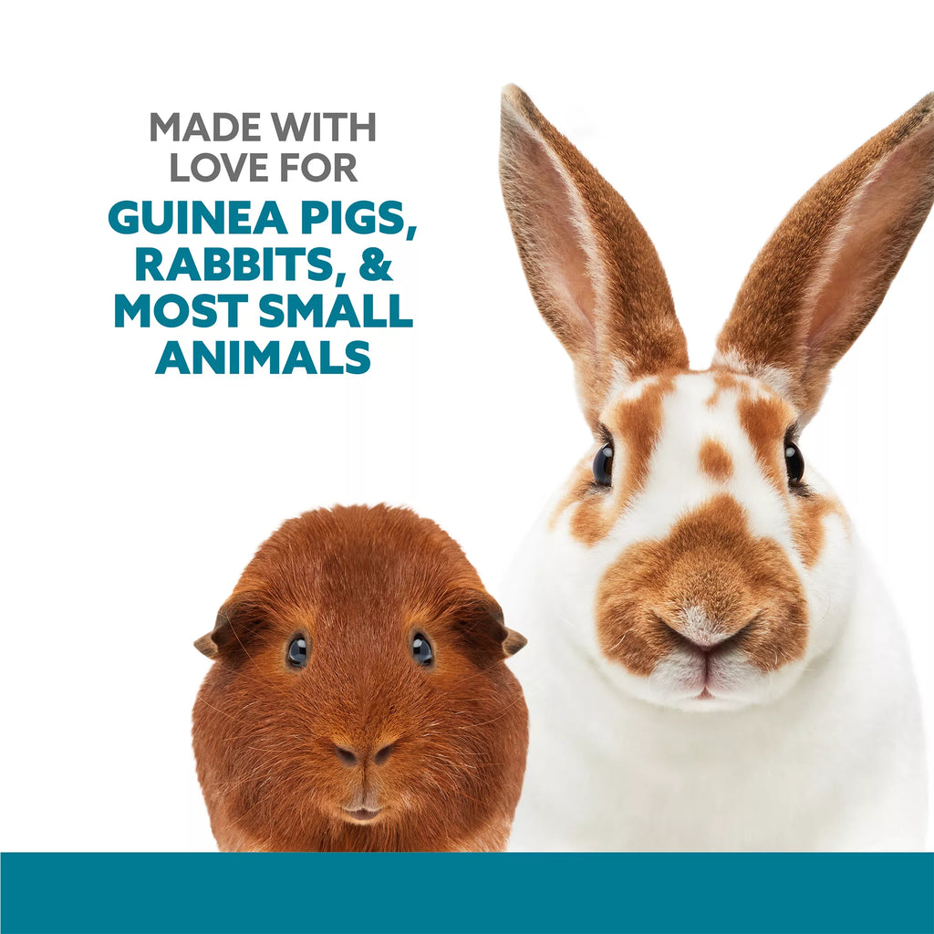 Full Cheeks Small Pet Veggie Lovin' Kabob - Treat & Chew
