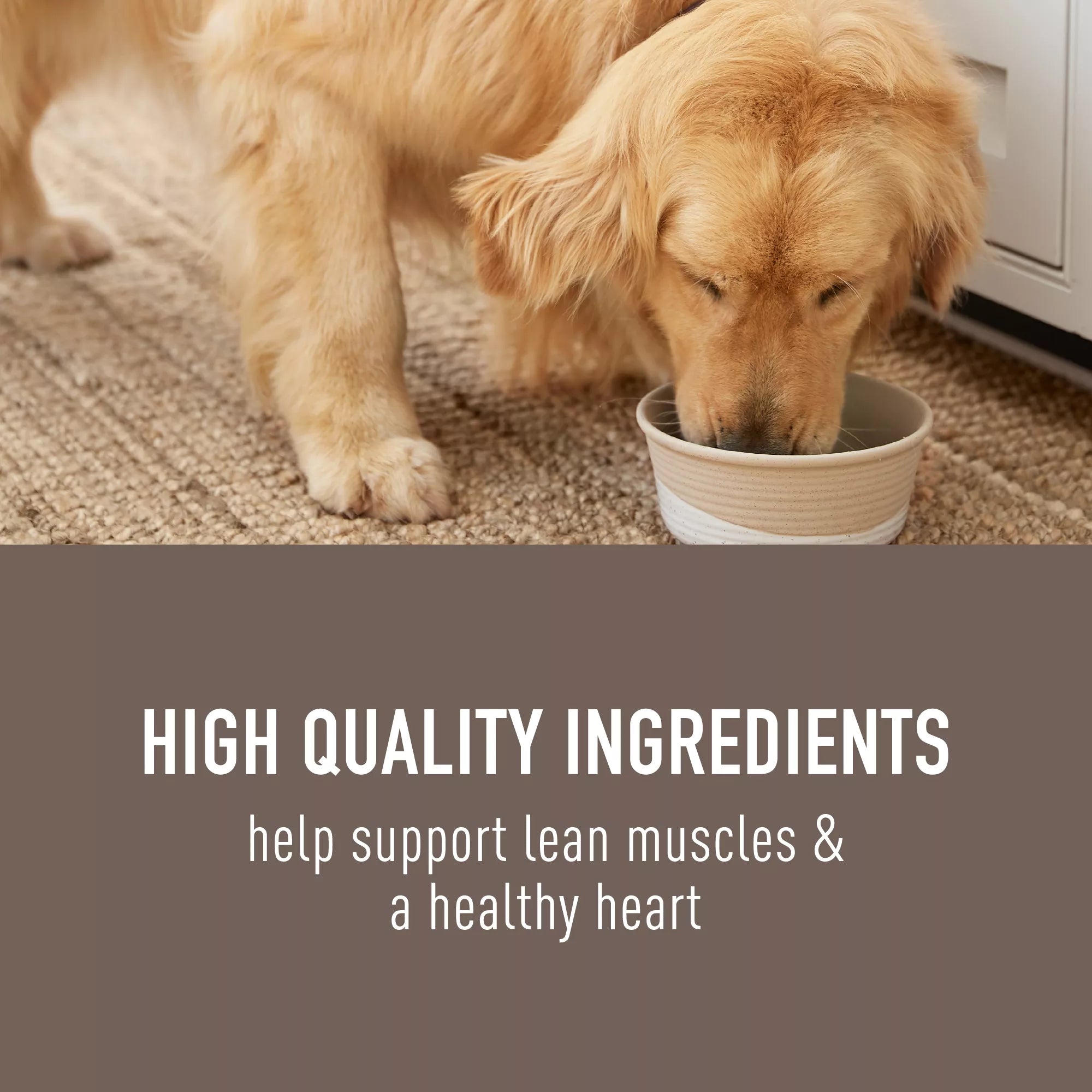 Simply Nourish Original All Life Stage Dog Meal Topper - 3 Oz.,