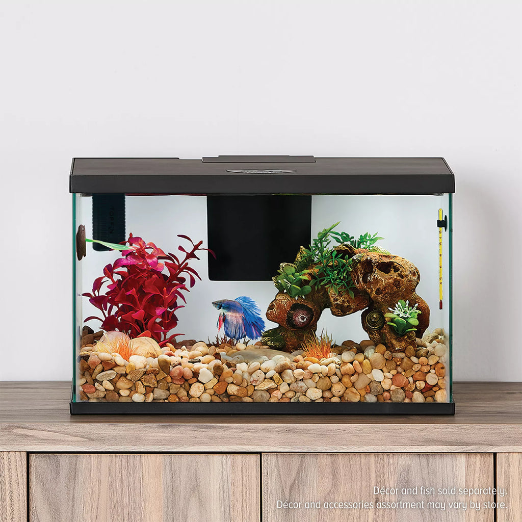 Top Fin All-In-One Betta Aquarium Starter Kit - 3 Gallon