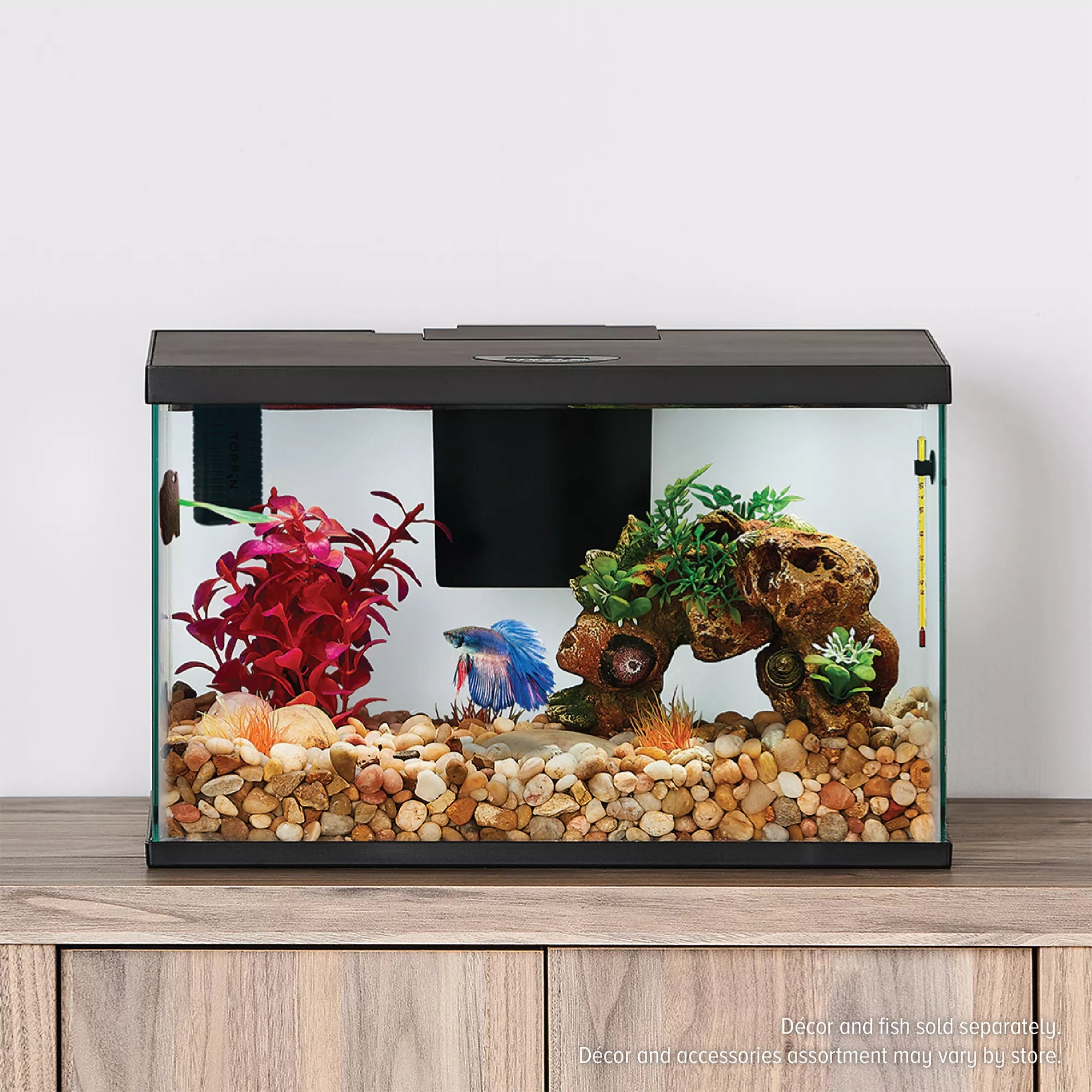 Top Fin All-In-One Betta Aquarium Starter Kit - 3 Gallon
