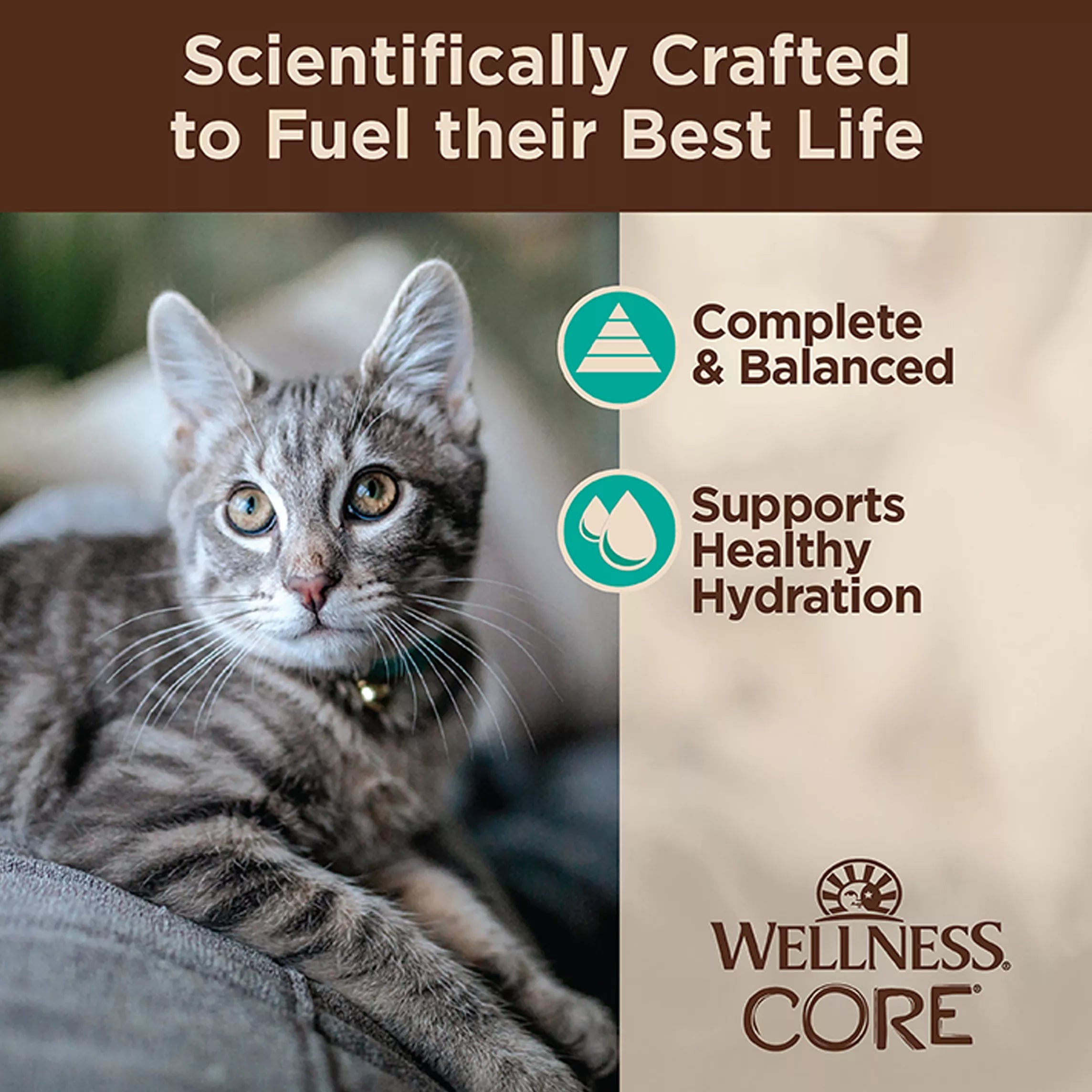 Wellness CORE Tiny Tasters All Stages Flaked Wet Cat Food Topper - 1.75 oz, Natural Pet Food, Grain-Free Pet Food