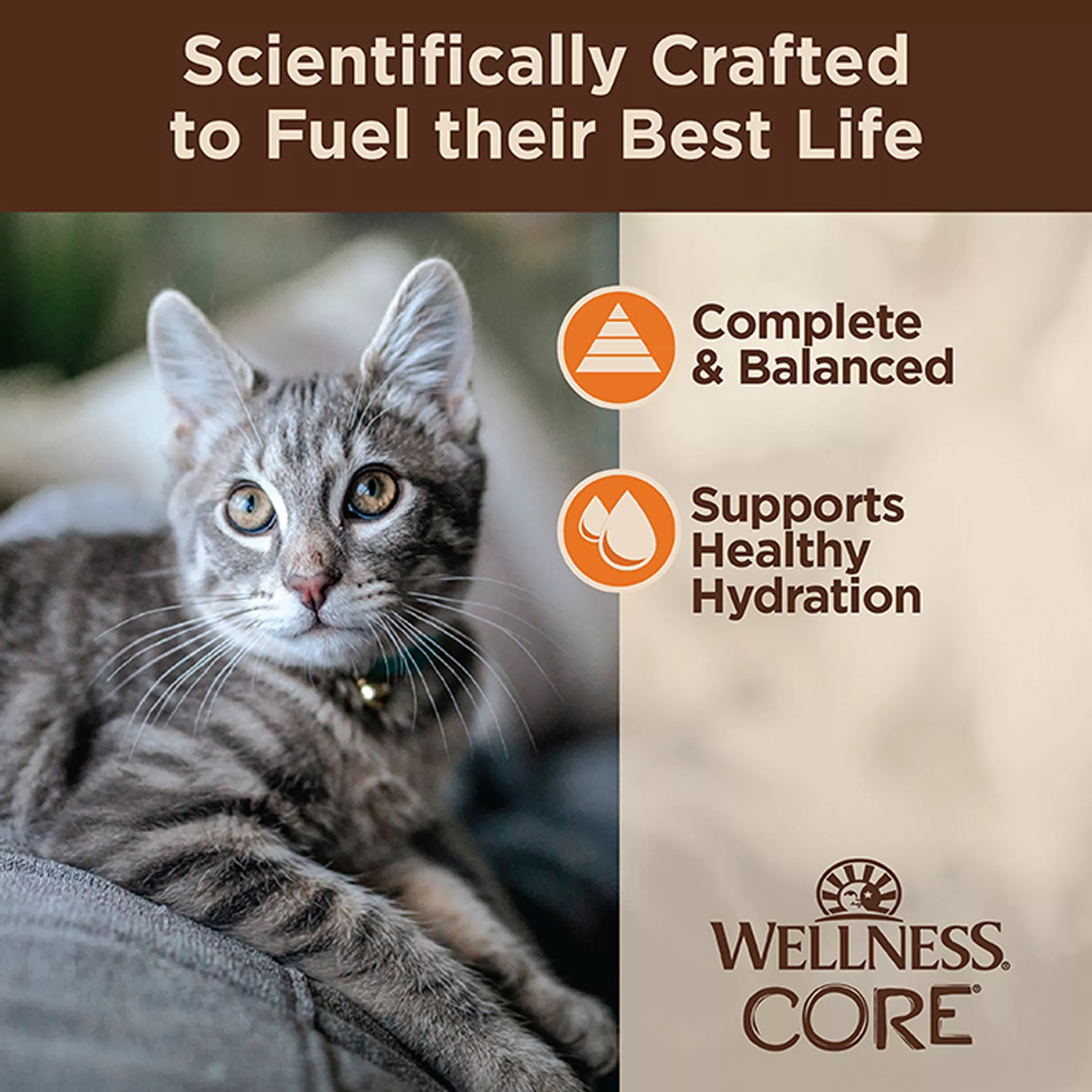 Wellness CORE Tiny Tasters All Stages Minced Wet Cat Food Topper - 1.75 oz, Natural Pet Food, Grain-Free Pet Food