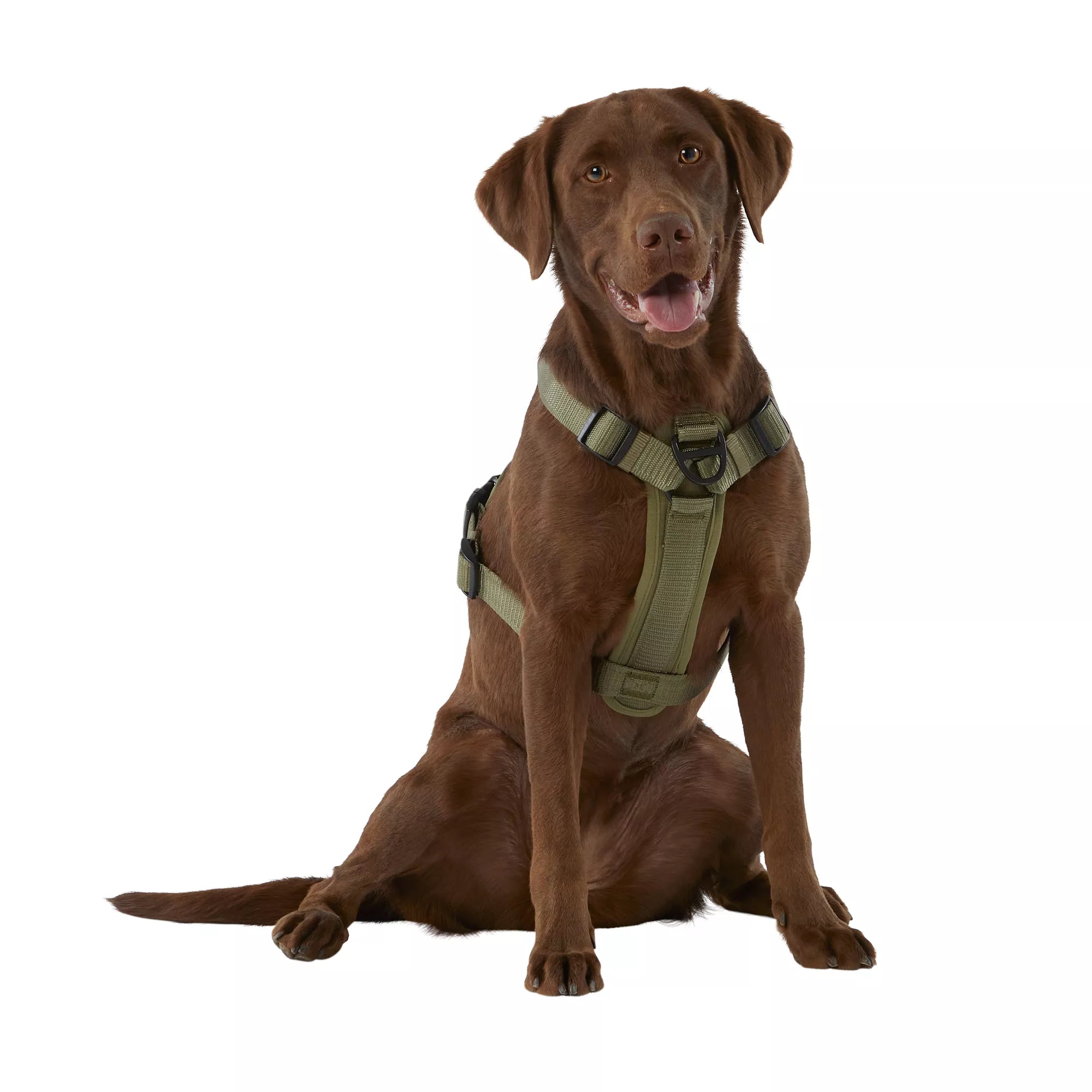 KONG Reflective Waste Bag Dog Harness