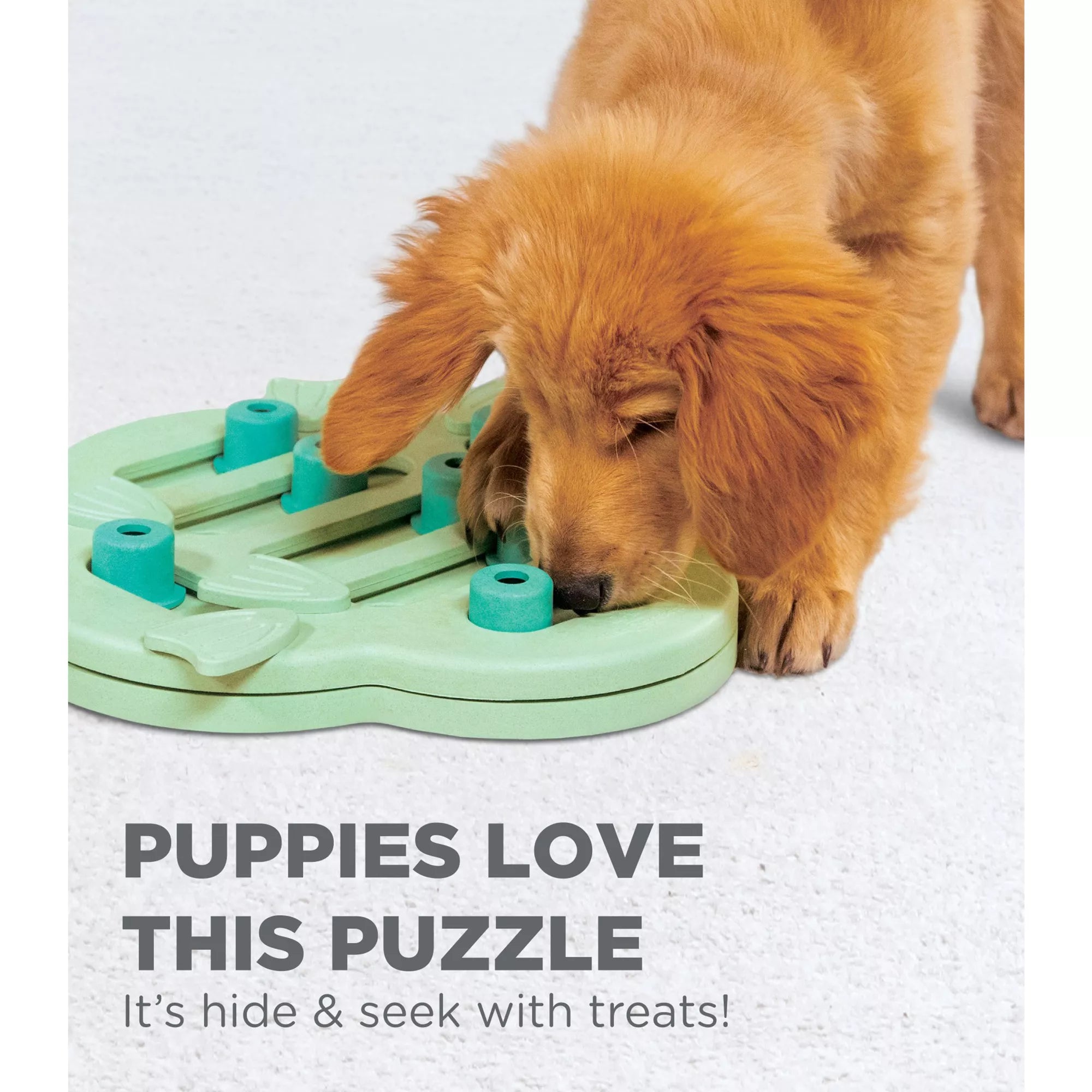 Nina Ottosson Outward Hound Puppy Hide N' Slide Interactive Treat Puzzle Dog Toy