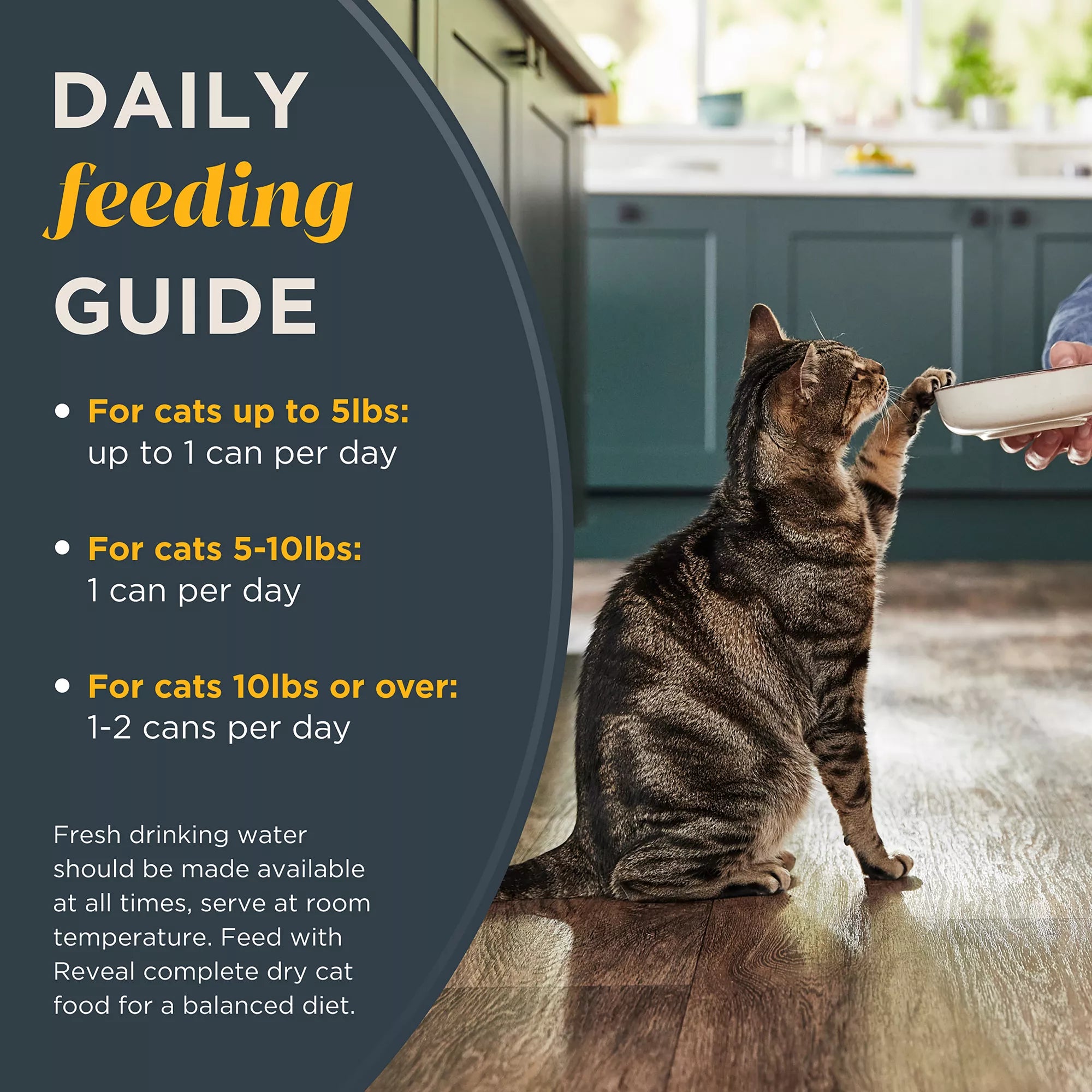 Reveal Limited Ingredient All Life Stage Wet Cat Food in Wet Pet Food in Gravy - Grain-Free Pet Food, 2.47 oz