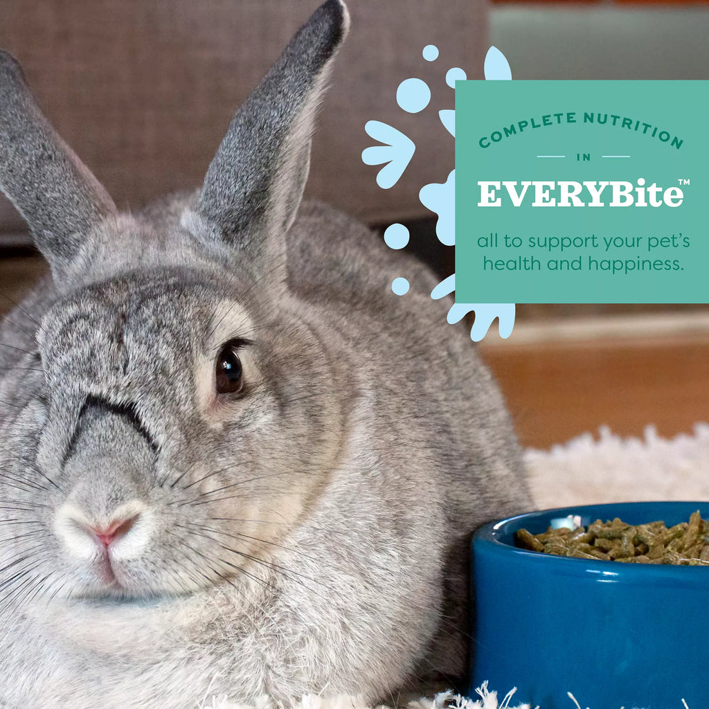 Oxbow Essentials Senior Rabbit Food - 4 lb