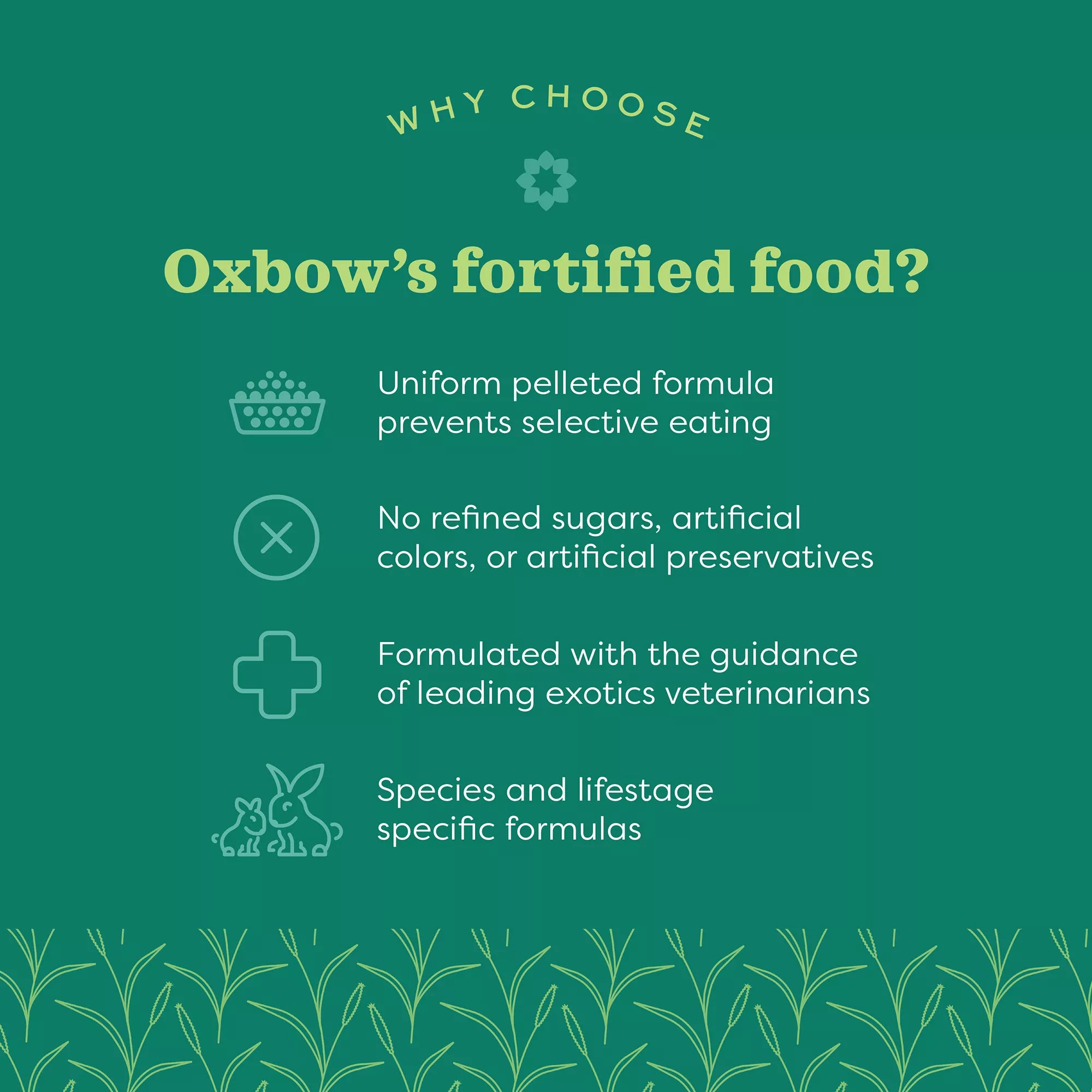 Oxbow Essentials Senior Rabbit Food - 4 lb