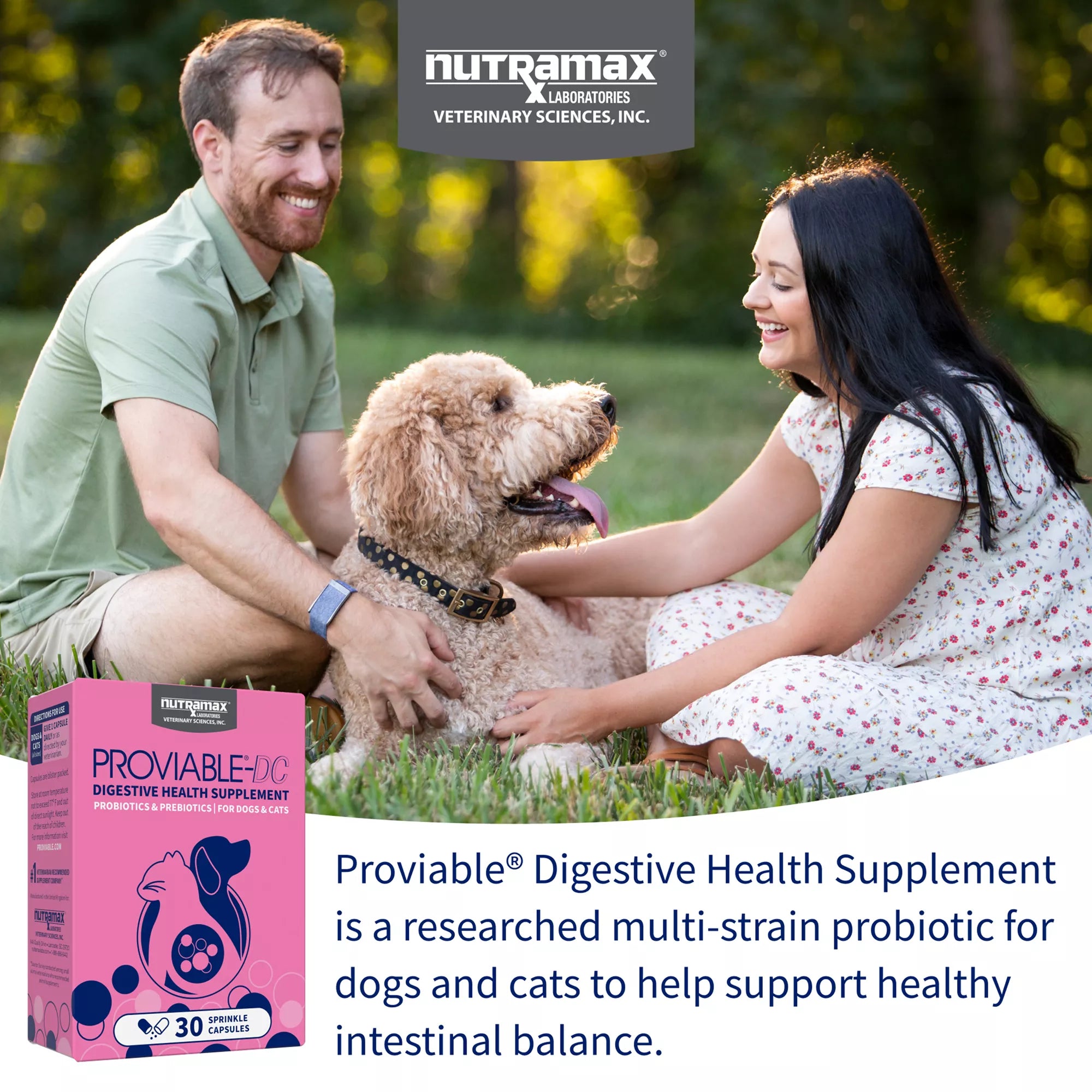 Nutramax Proviable-DC Digestive Supplement for Cats & Dogs