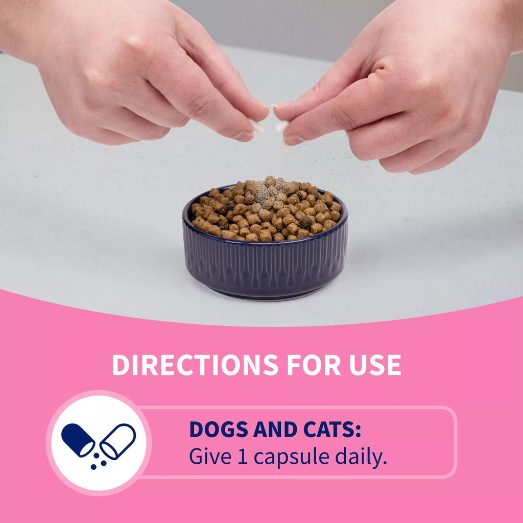 Nutramax Proviable-DC Digestive Supplement for Cats & Dogs