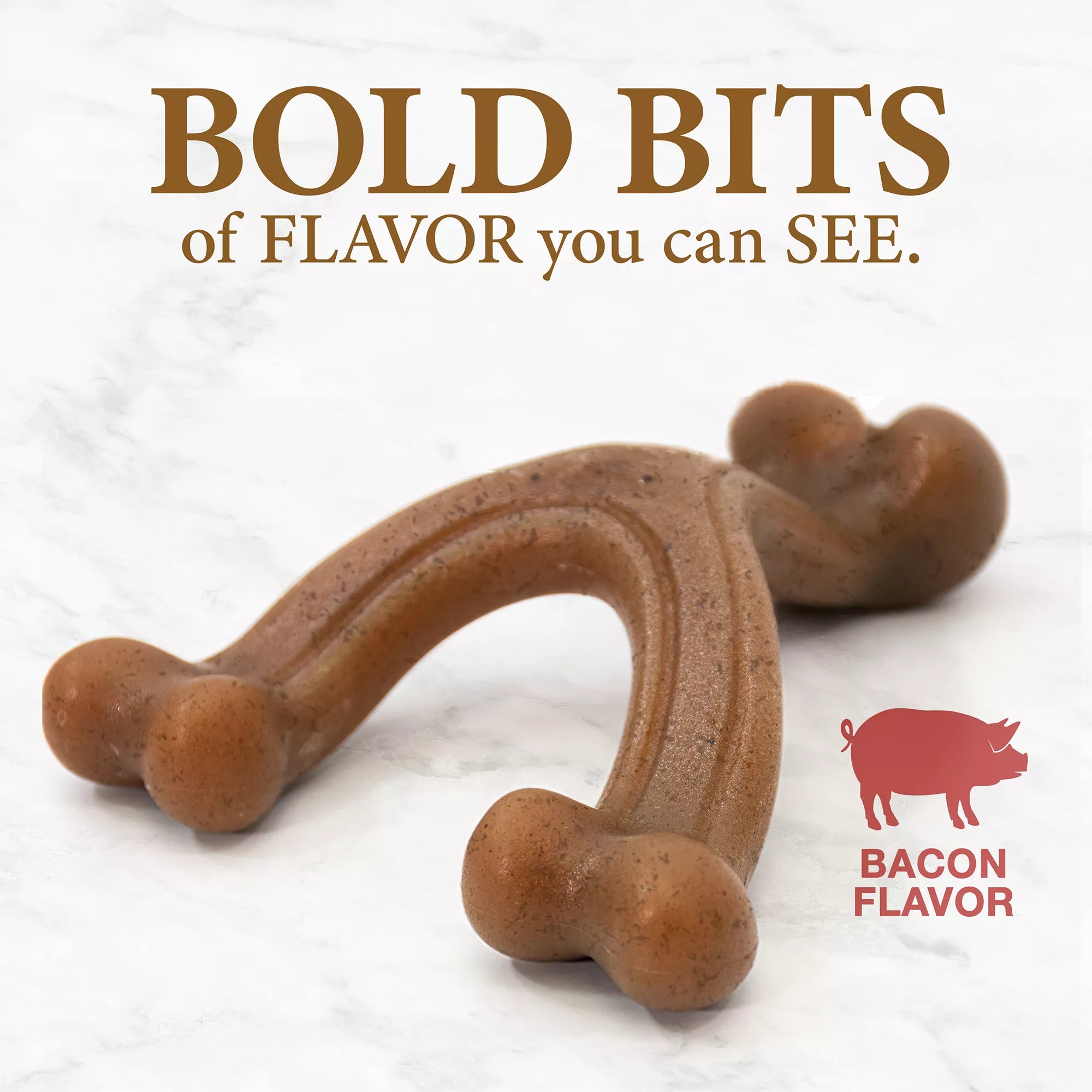 Nylabone Gourmet Wishbone Chew Dog Toy - Bacon