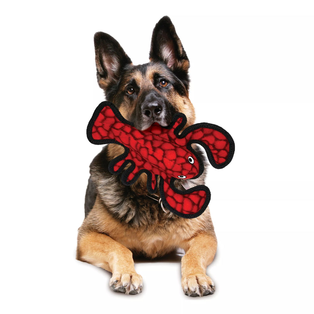 TUFFY Ocean Creature Junior Lobster Dog Toy - Tough Plush