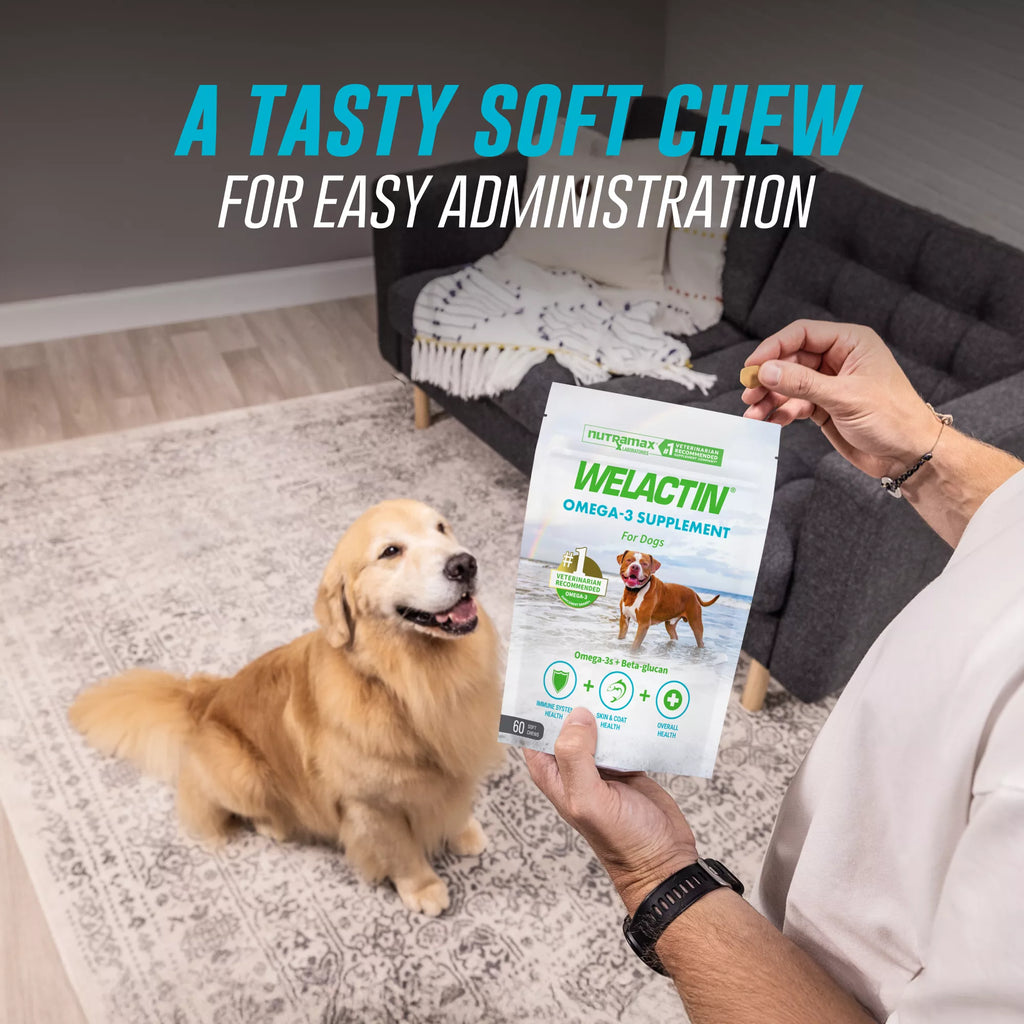 Nutramax Welactin Omega-3 Soft Chews