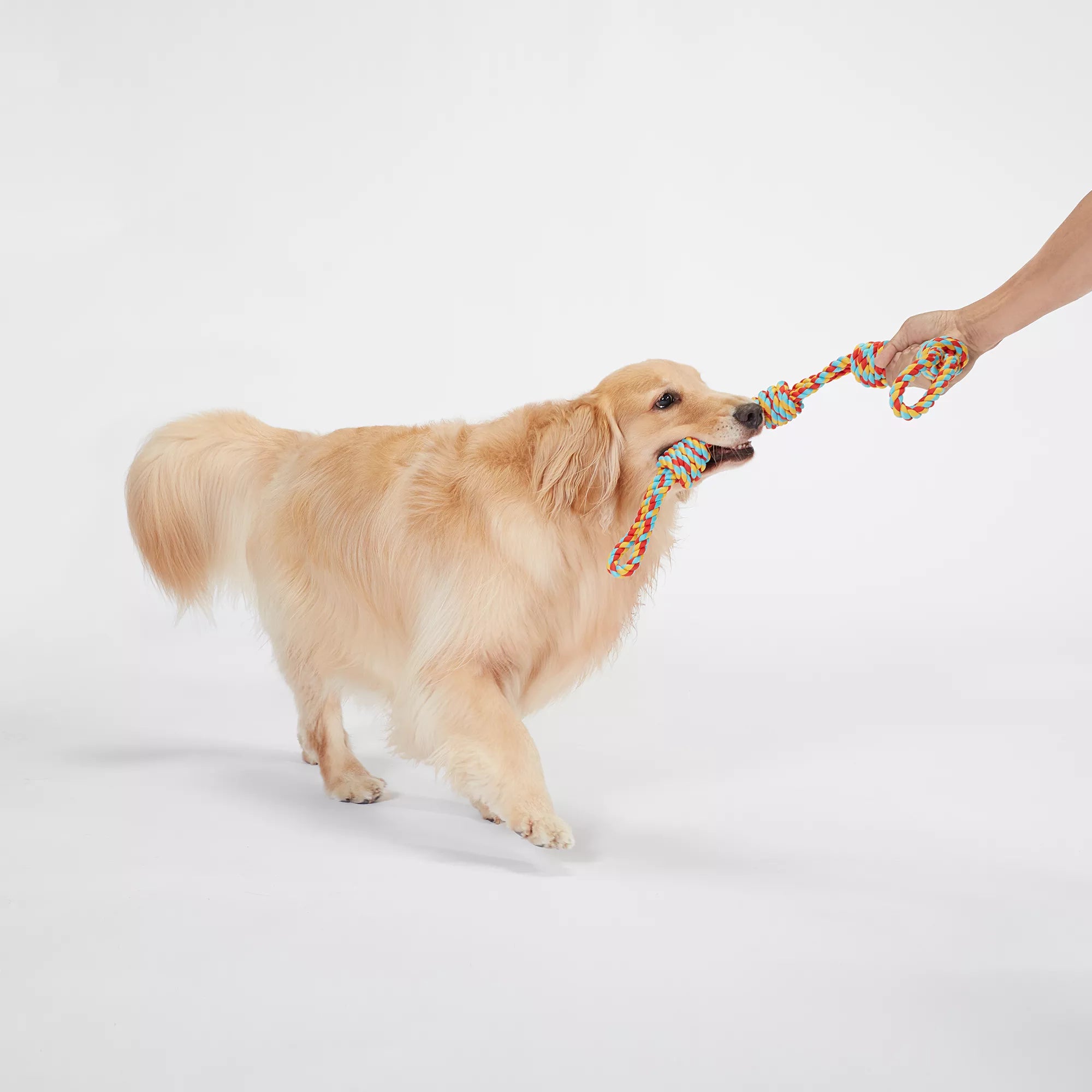 Joyhound 4-Knot Rope Dog Toy