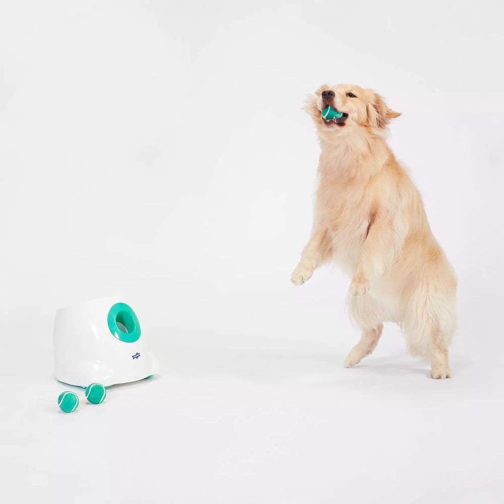Joyhound Electronic Ball Launcher Dog Toy